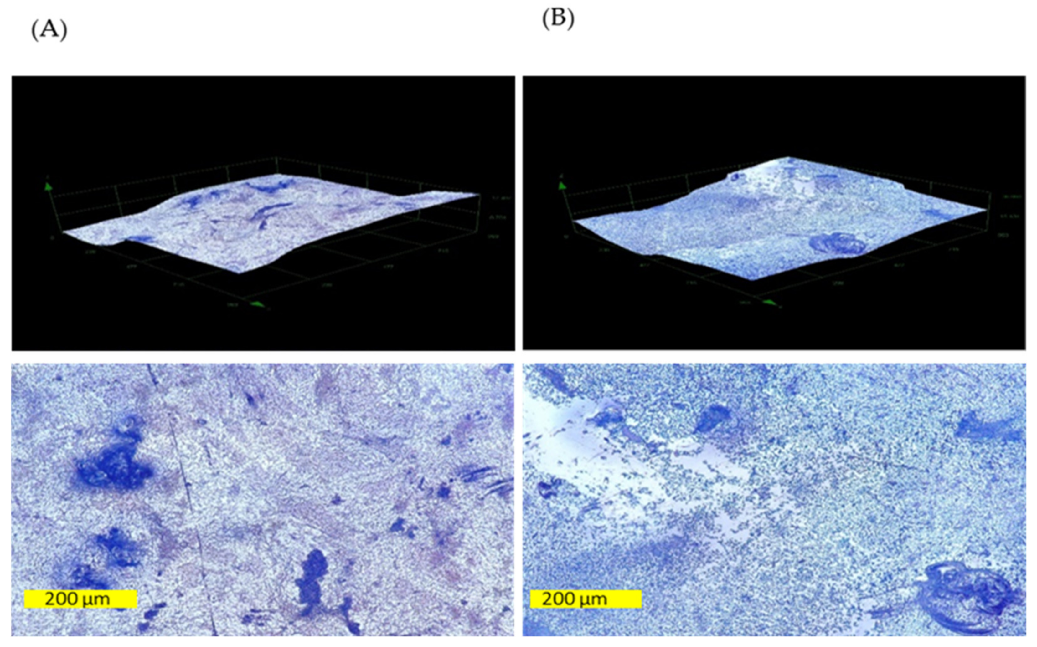 Ijerph 19 06177 g006