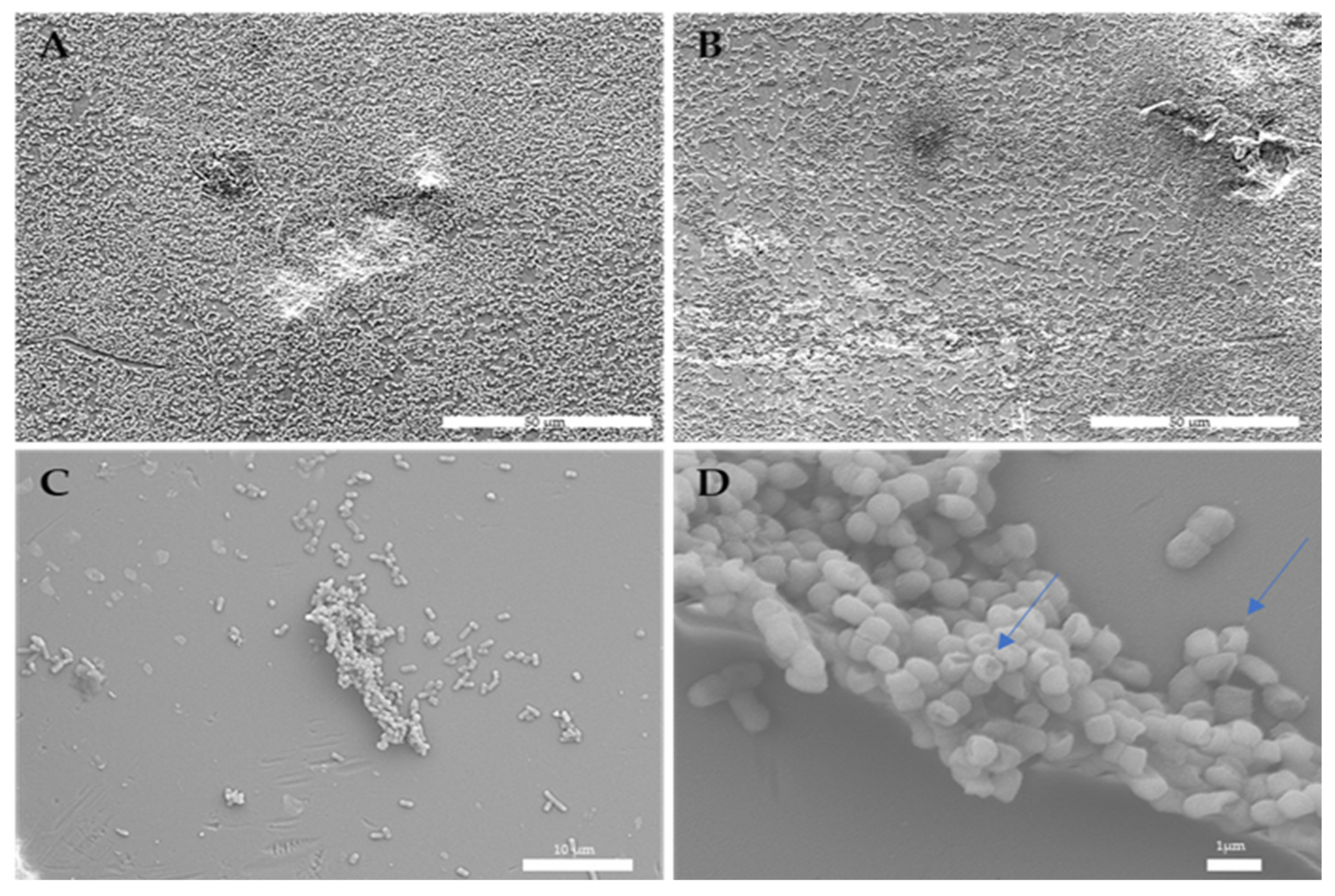 Ijerph 19 06177 g008