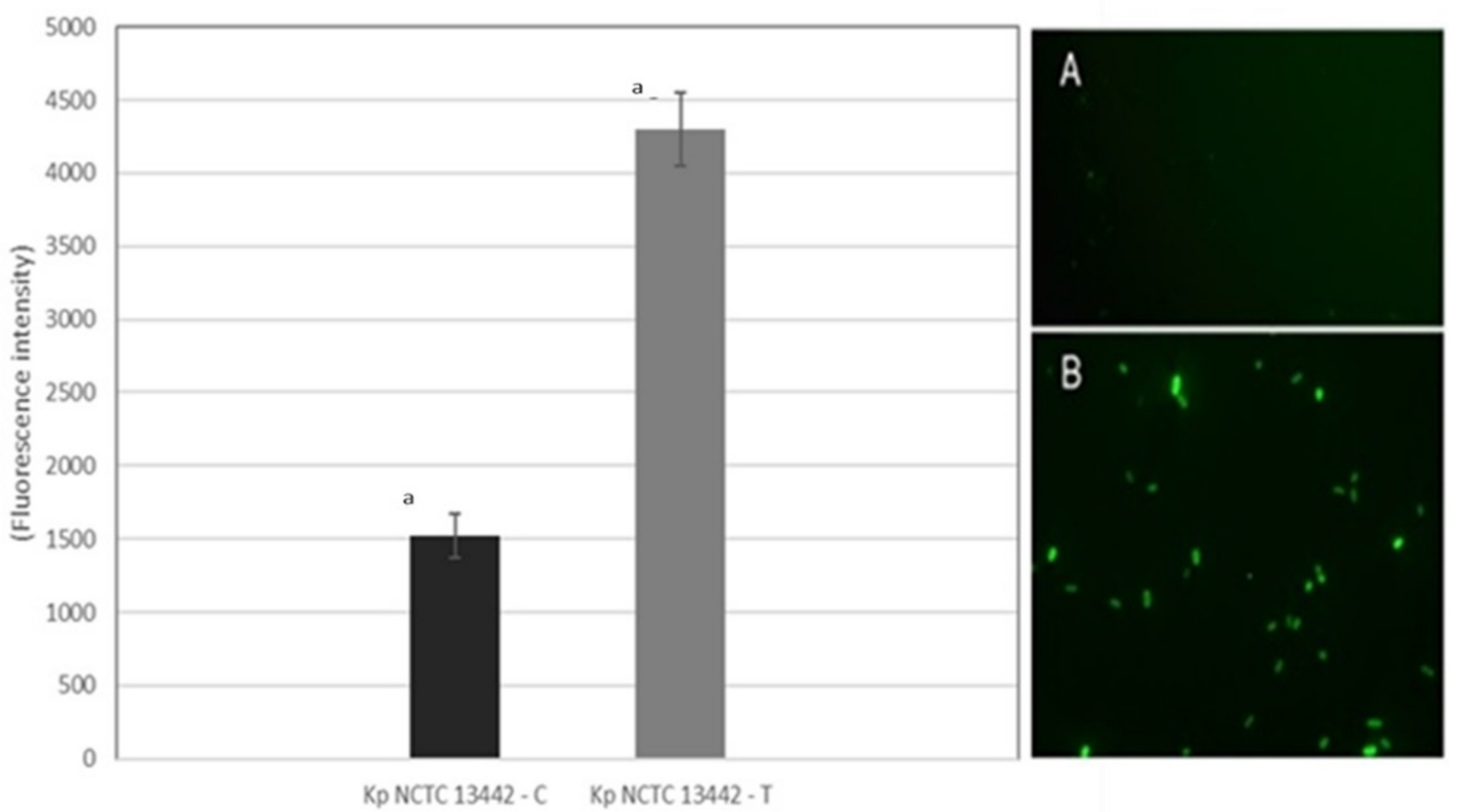 Ijerph 19 06177 g010