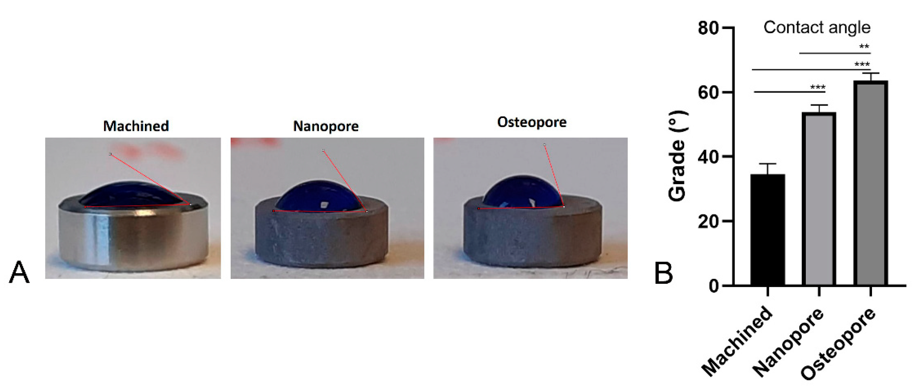 Ijerph 19 06212 g002