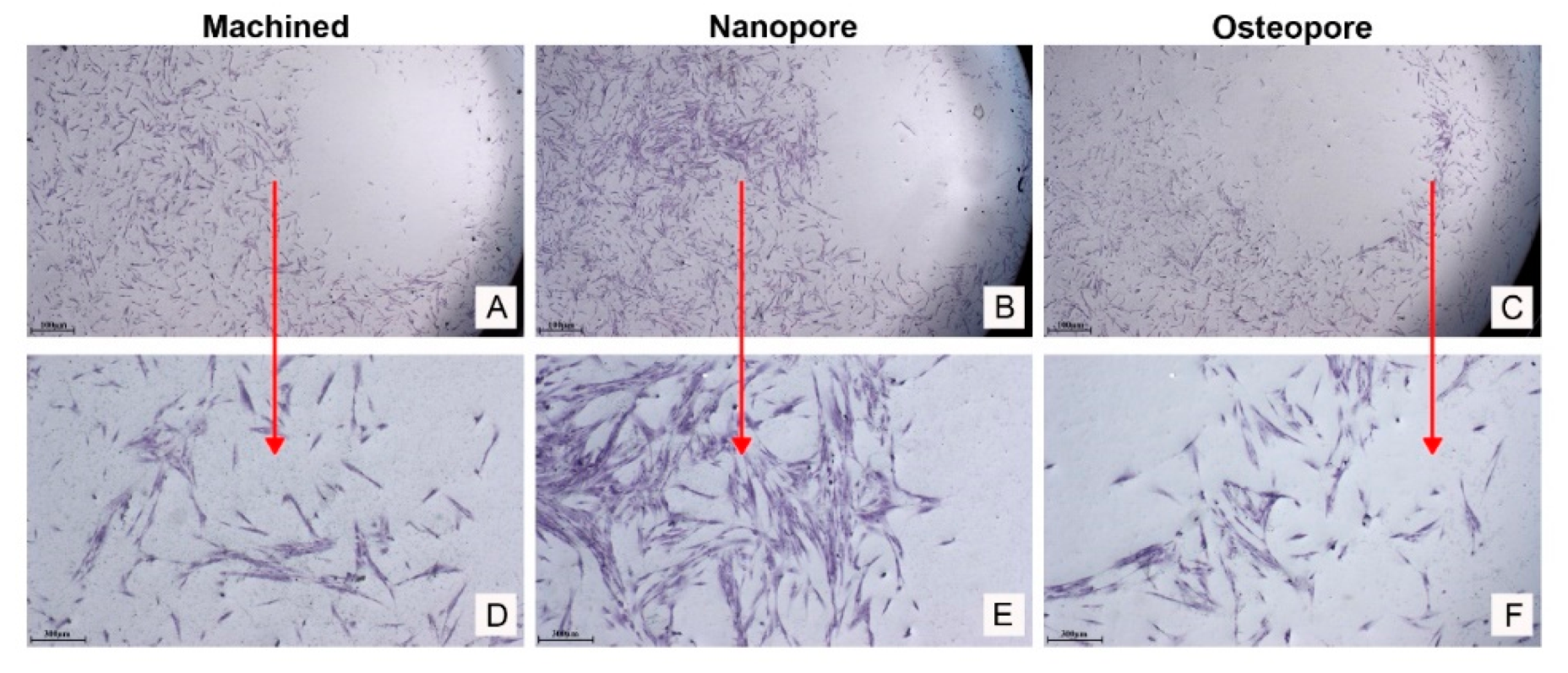 Ijerph 19 06212 g005