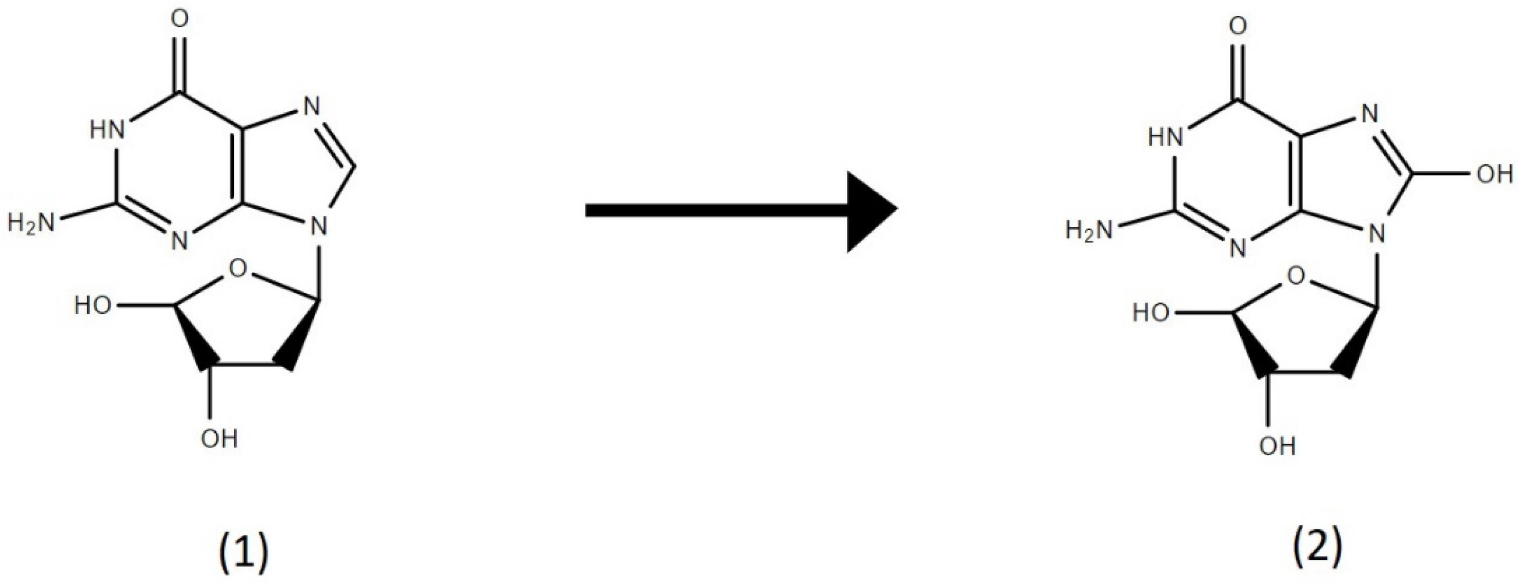 Ijerph 19 06221 g001 550