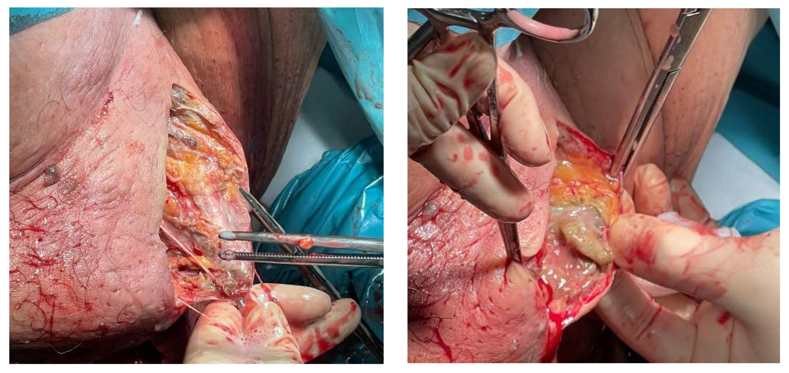 Ijerph 19 06261 g005