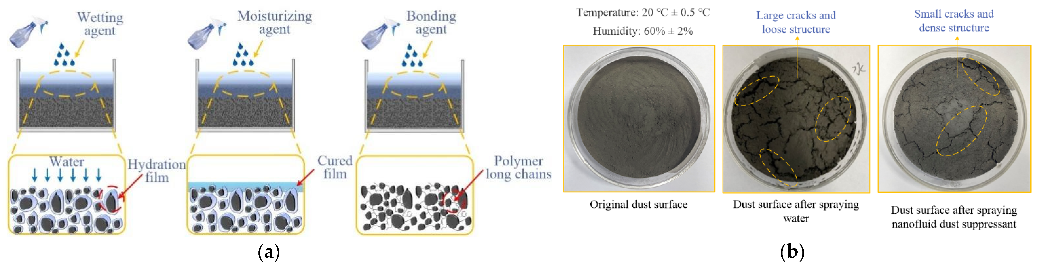 Ijerph 19 06288 g001 550