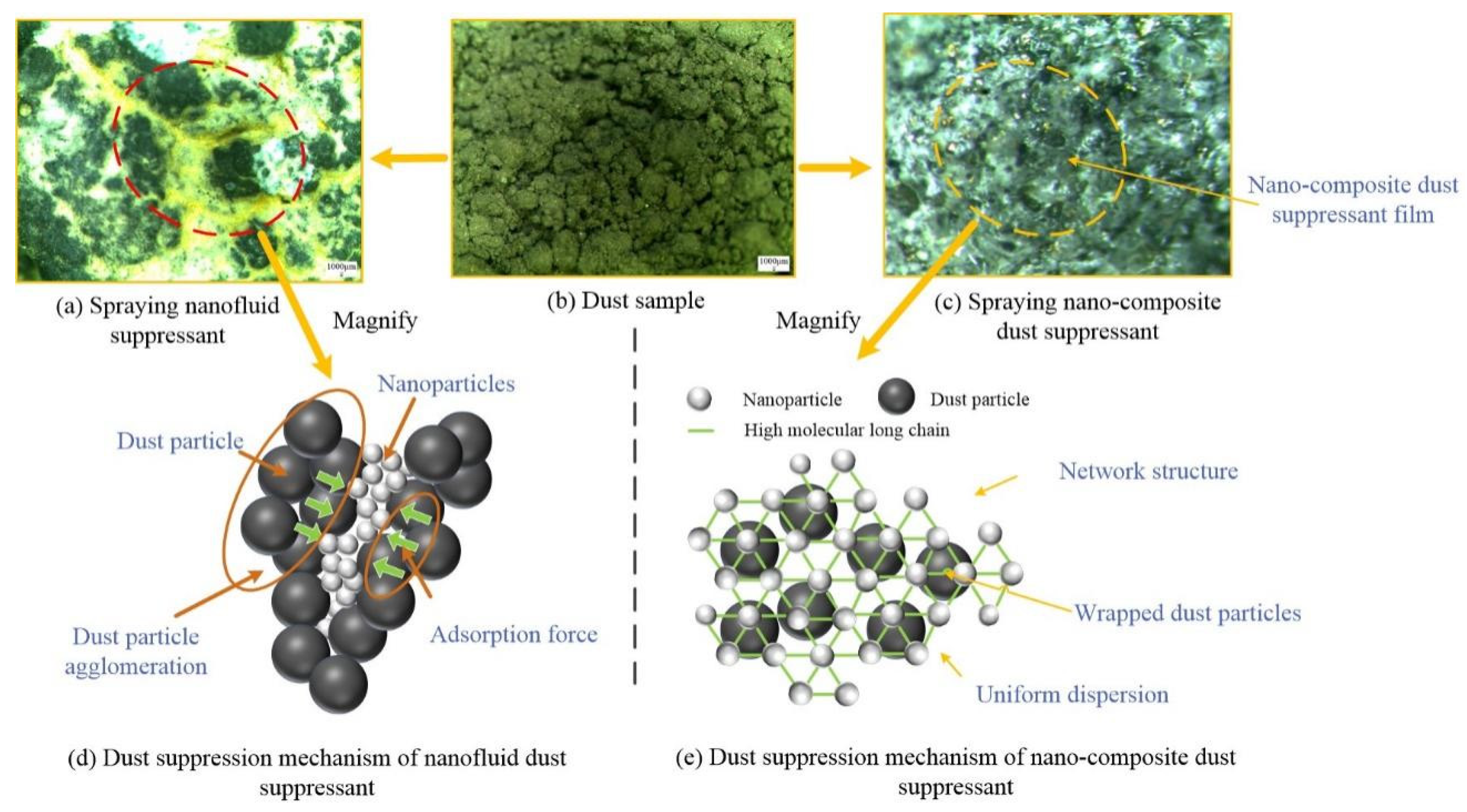 Ijerph 19 06288 g009 550