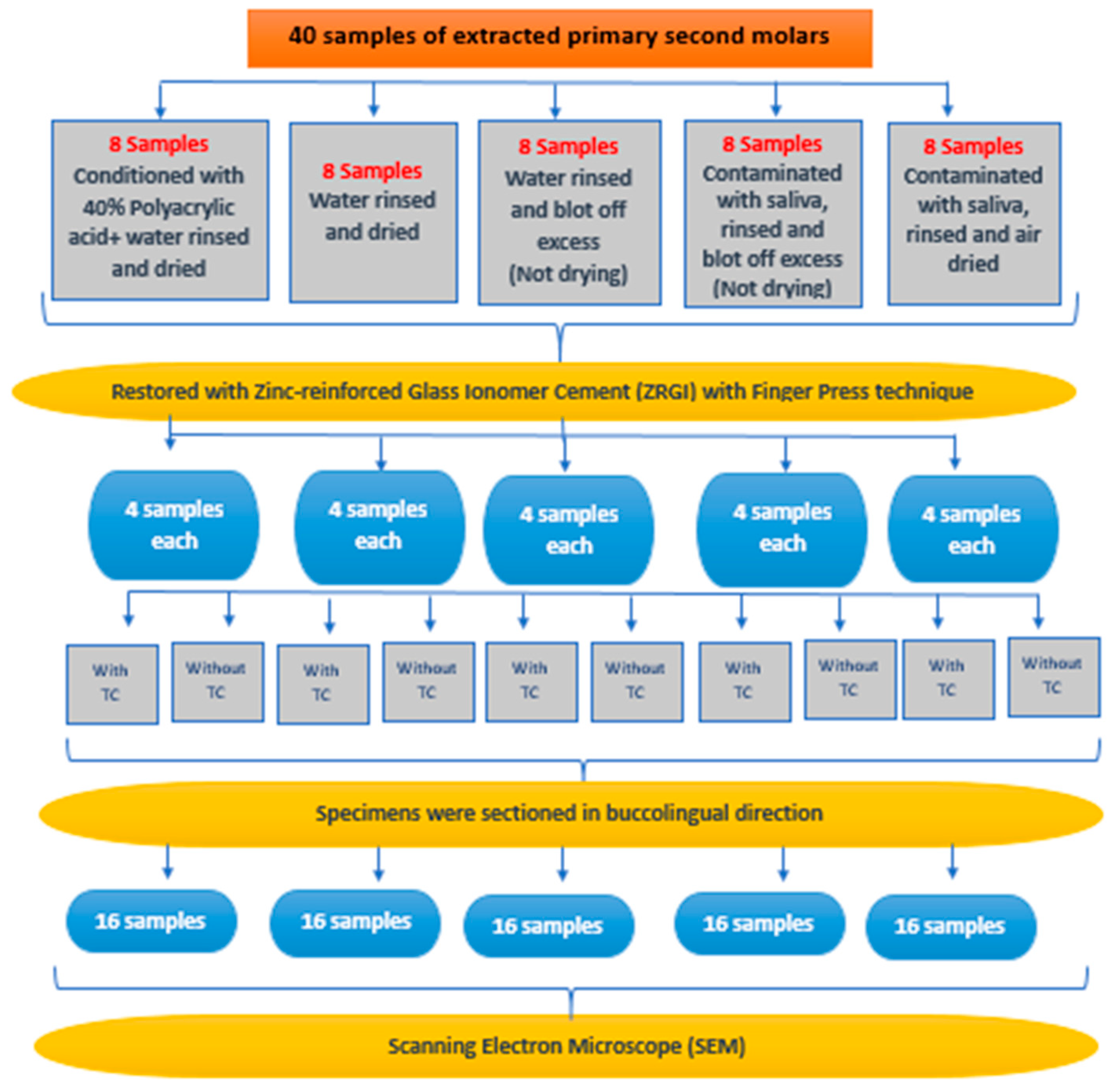 Ijerph 19 06291 g001