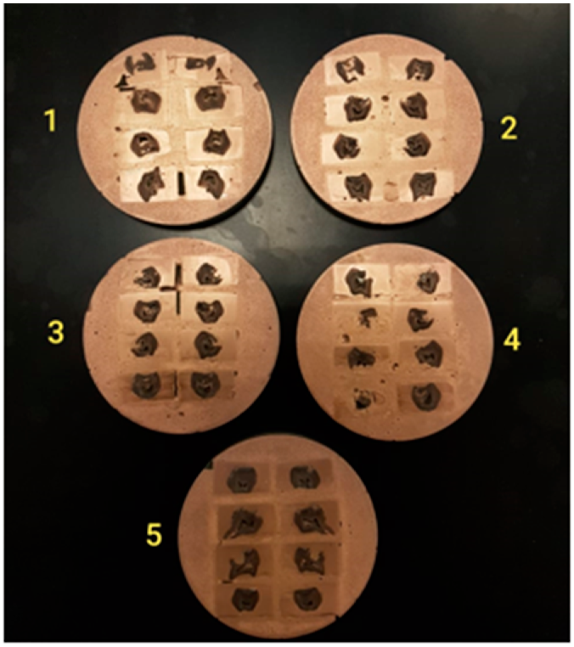 Ijerph 19 06291 g002