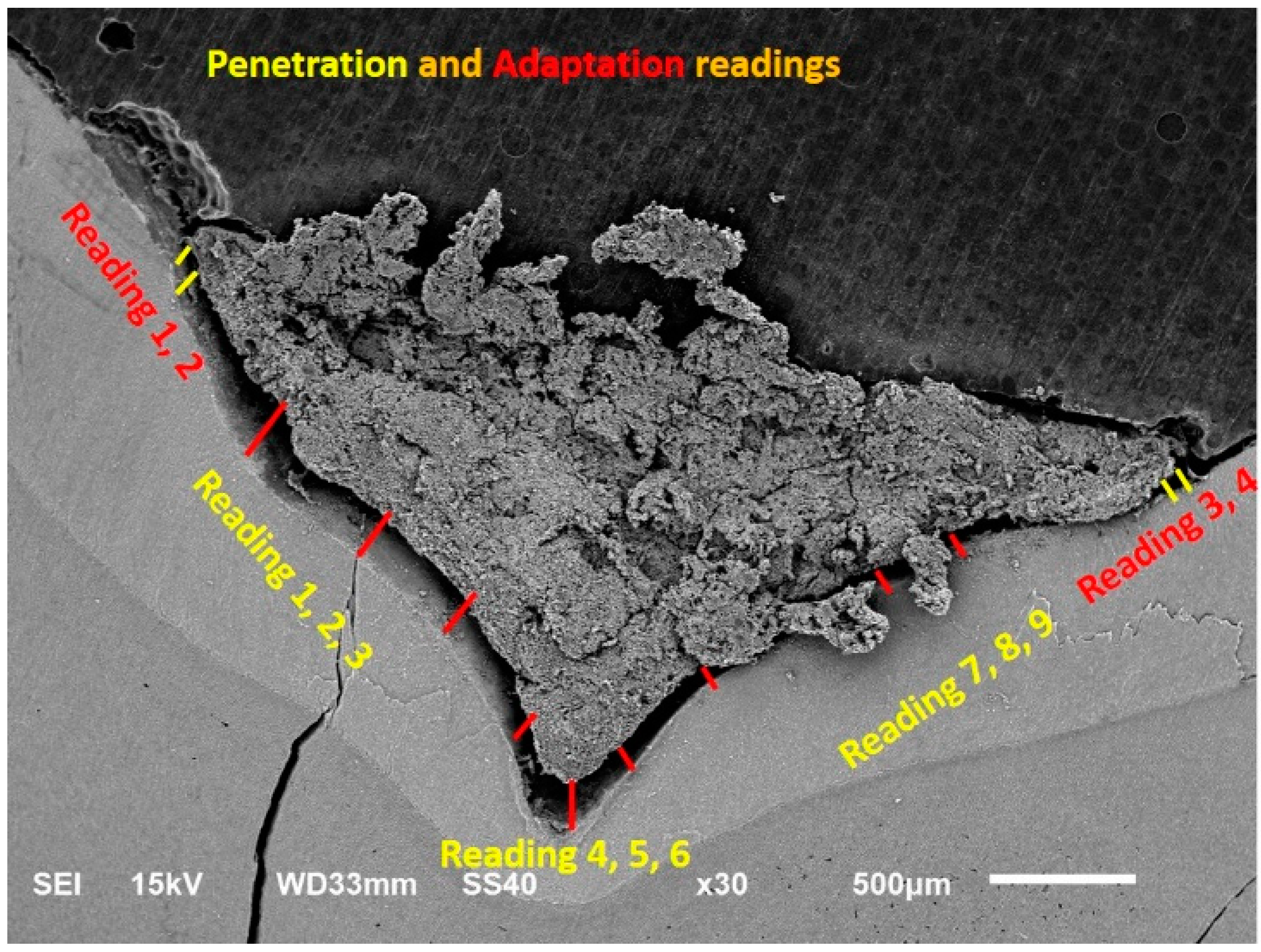 Ijerph 19 06291 g003