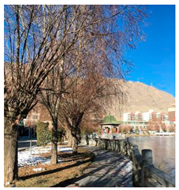 Ijerph 19 06303 i005