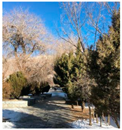 Ijerph 19 06303 i006