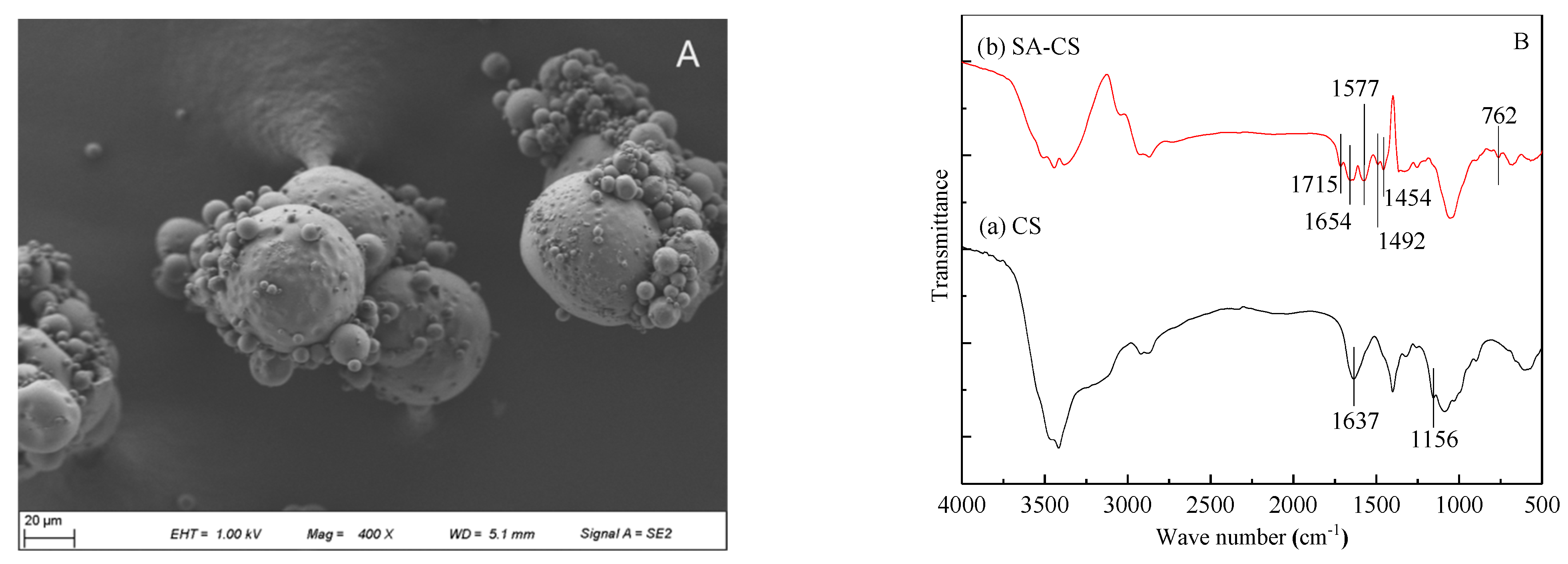 Ijerph 19 06320 g002 550
