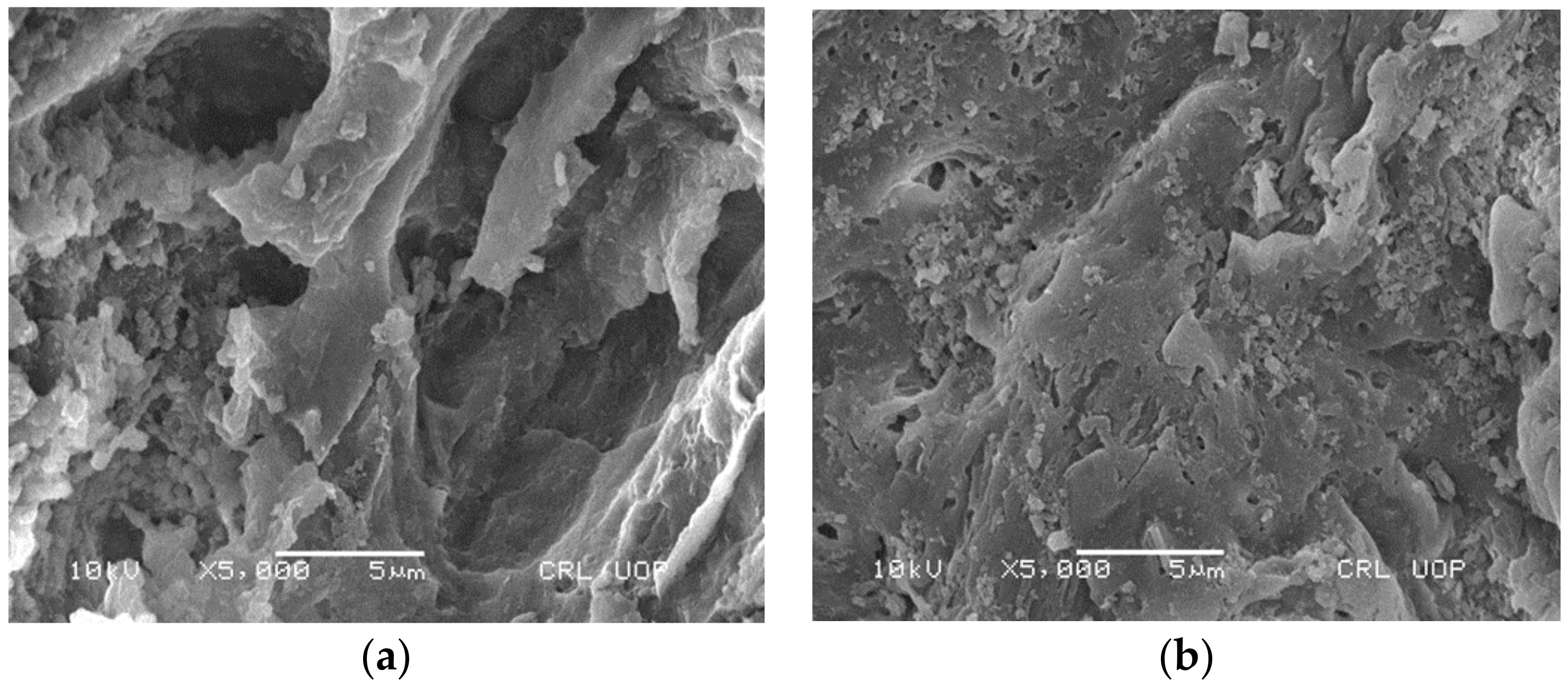 Ijerph 19 06396 g001 550