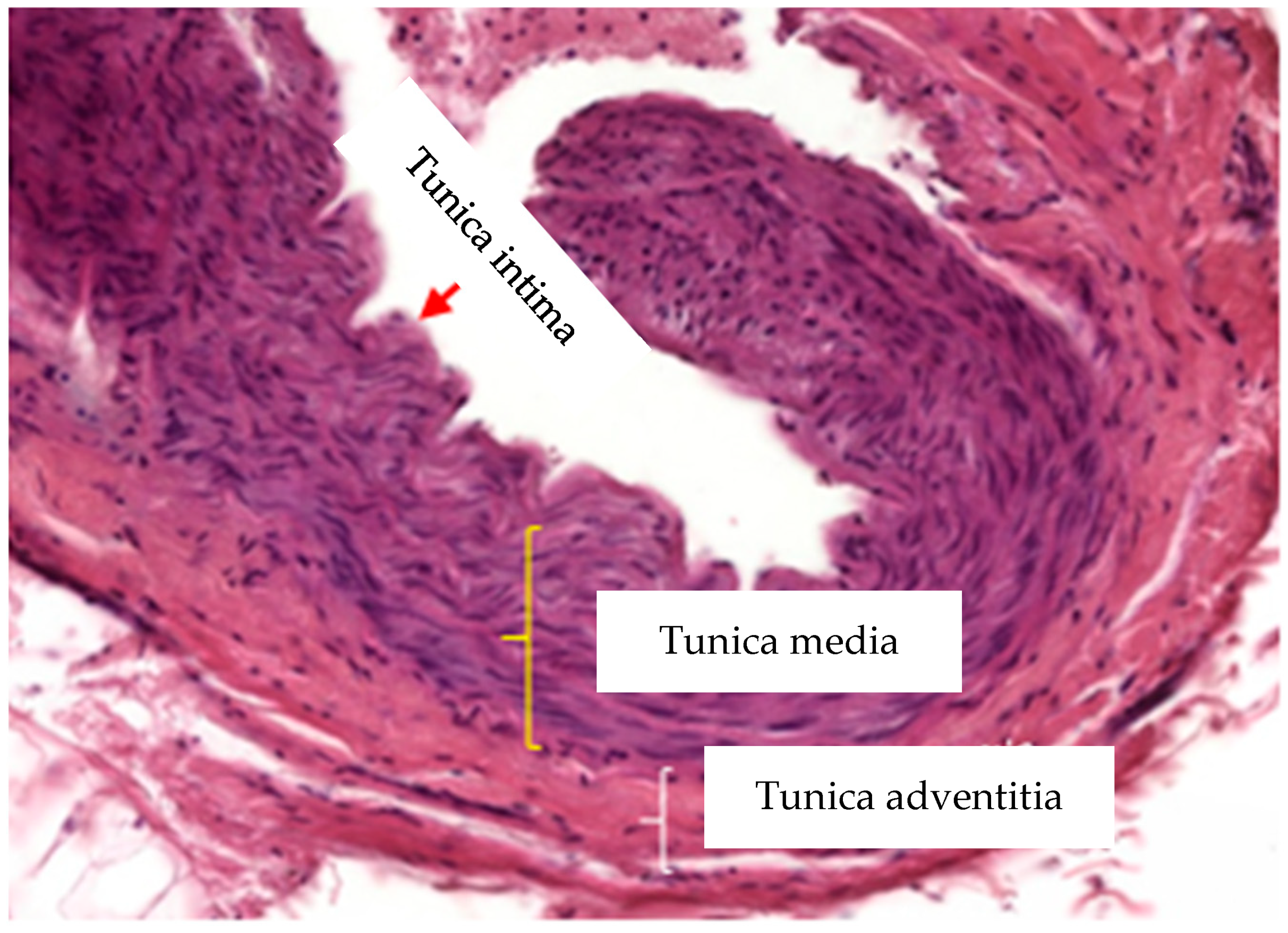 Ijerph 19 06399 g002 550