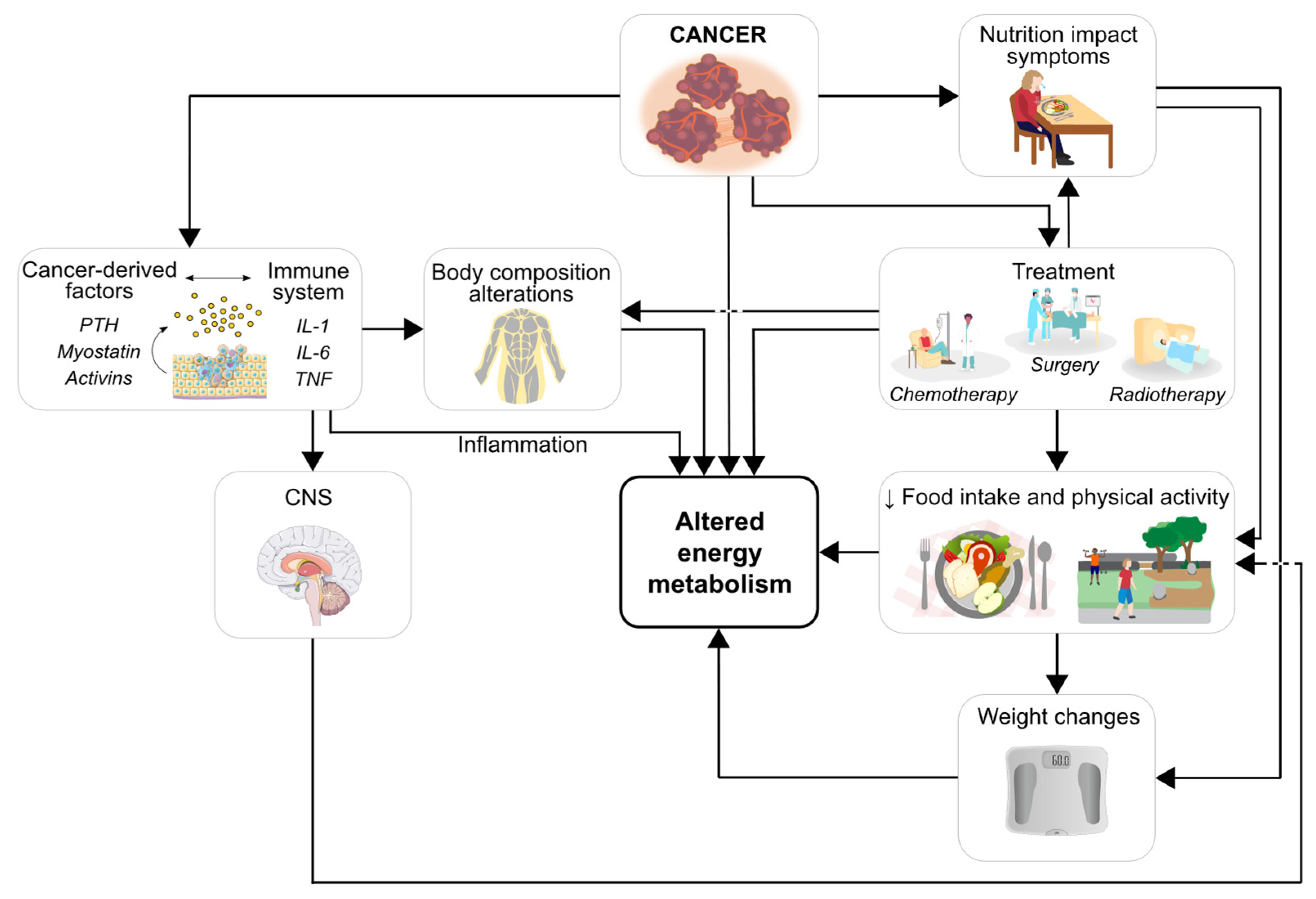 Ijerph 19 06419 g001