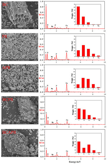 The Synergistic Effect of Biochar-Combined Activated Phosphate