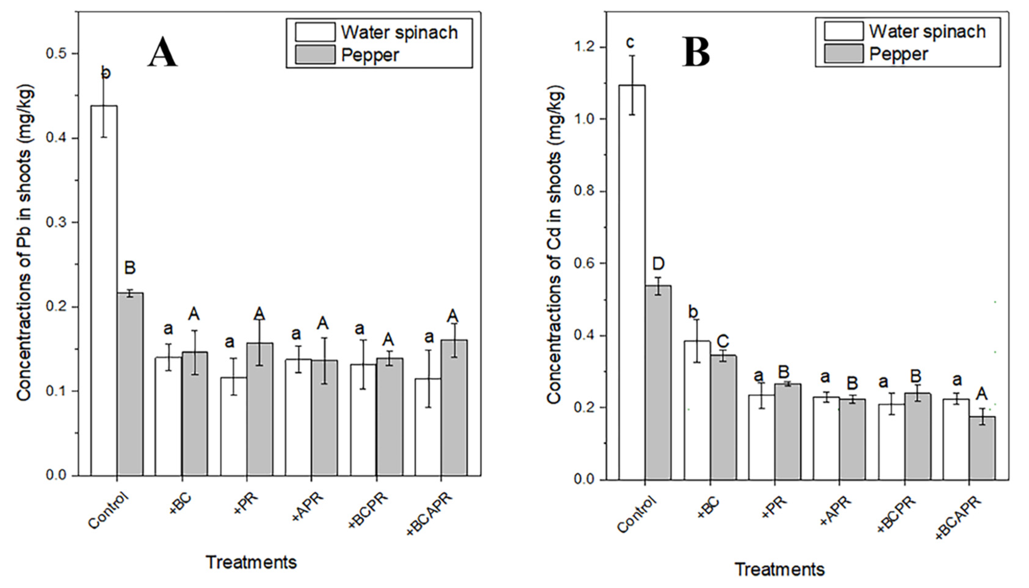 The Synergistic Effect of Biochar-Combined Activated