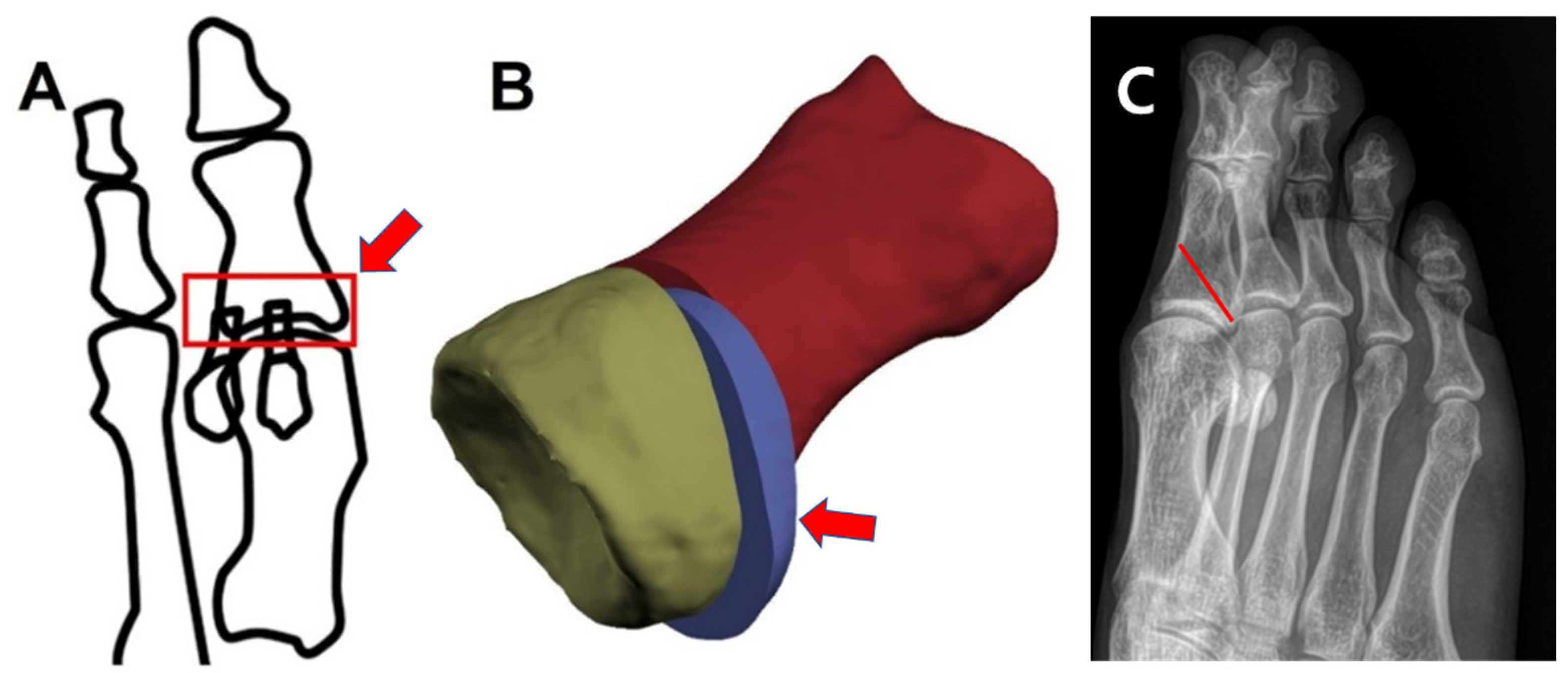 Ijerph 19 06487 g001 550