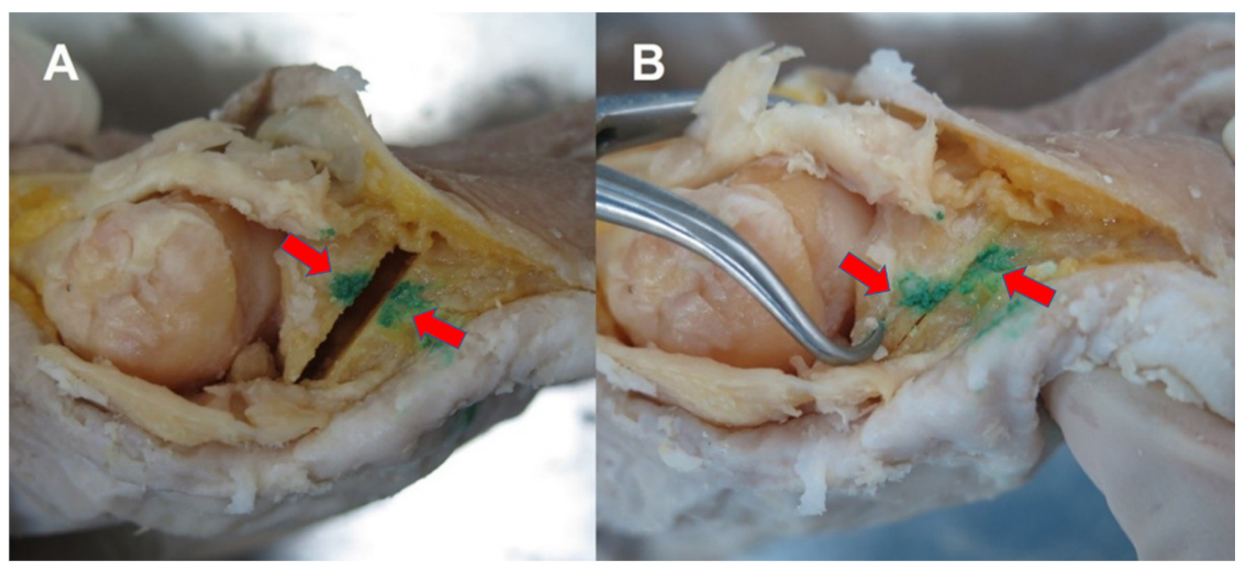 Ijerph 19 06487 g002 550