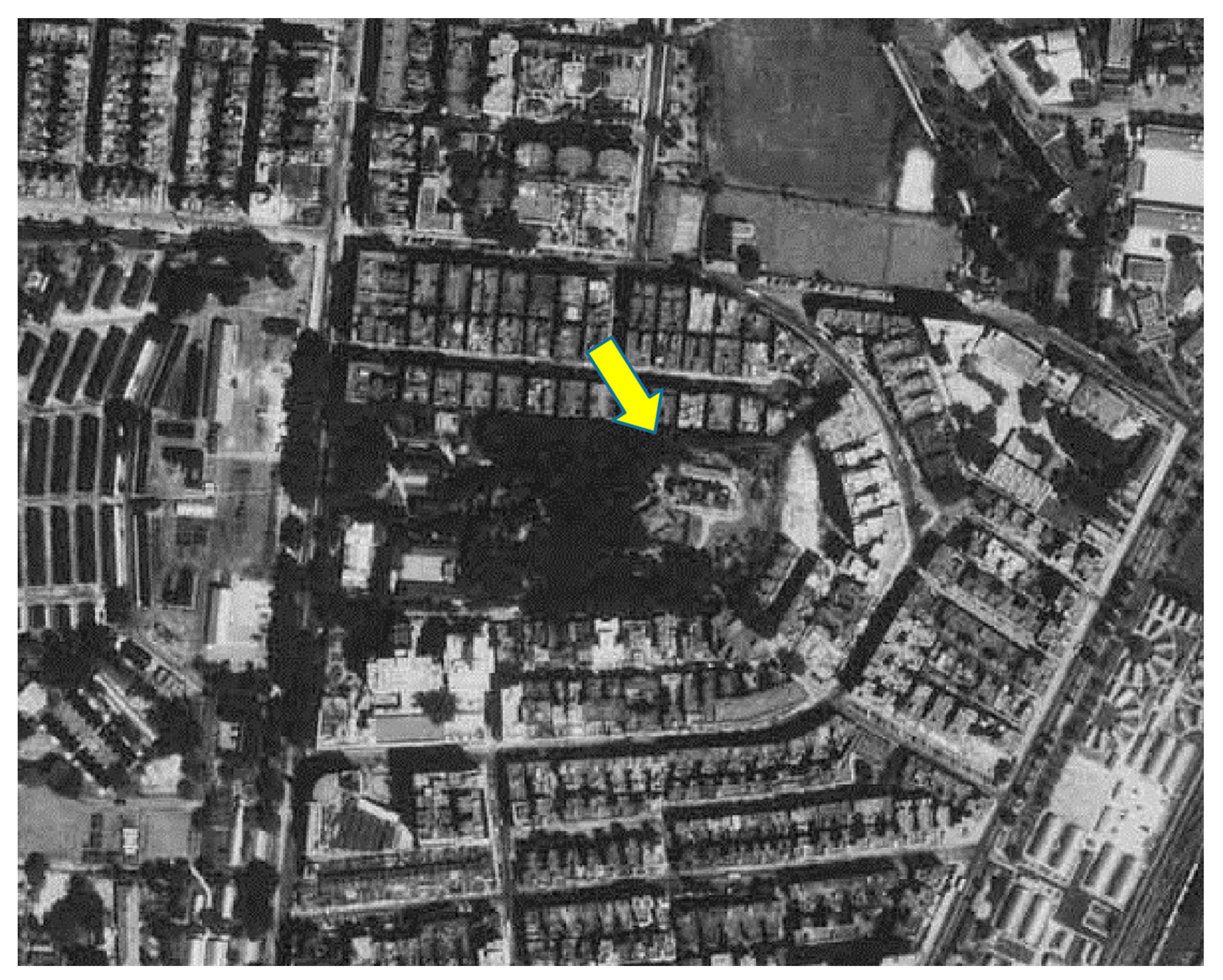 Ijerph 19 06494 g008 550