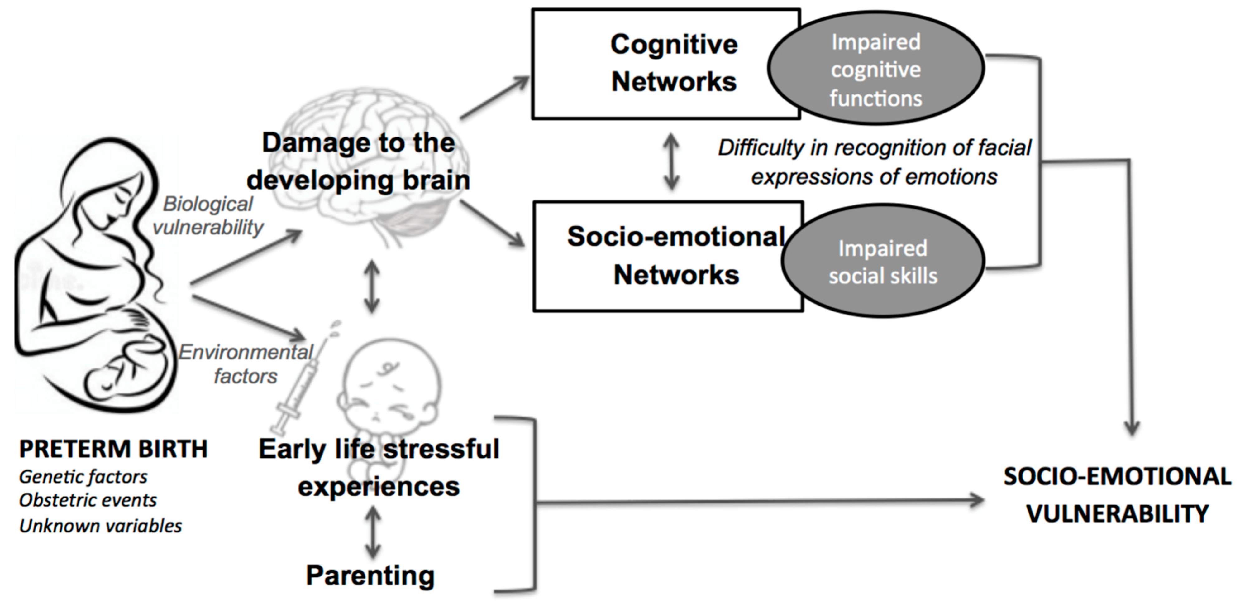 Ijerph 19 06507 g001 550
