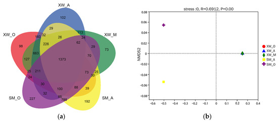Characterization of Microbial Communities in Wastewater Treatment