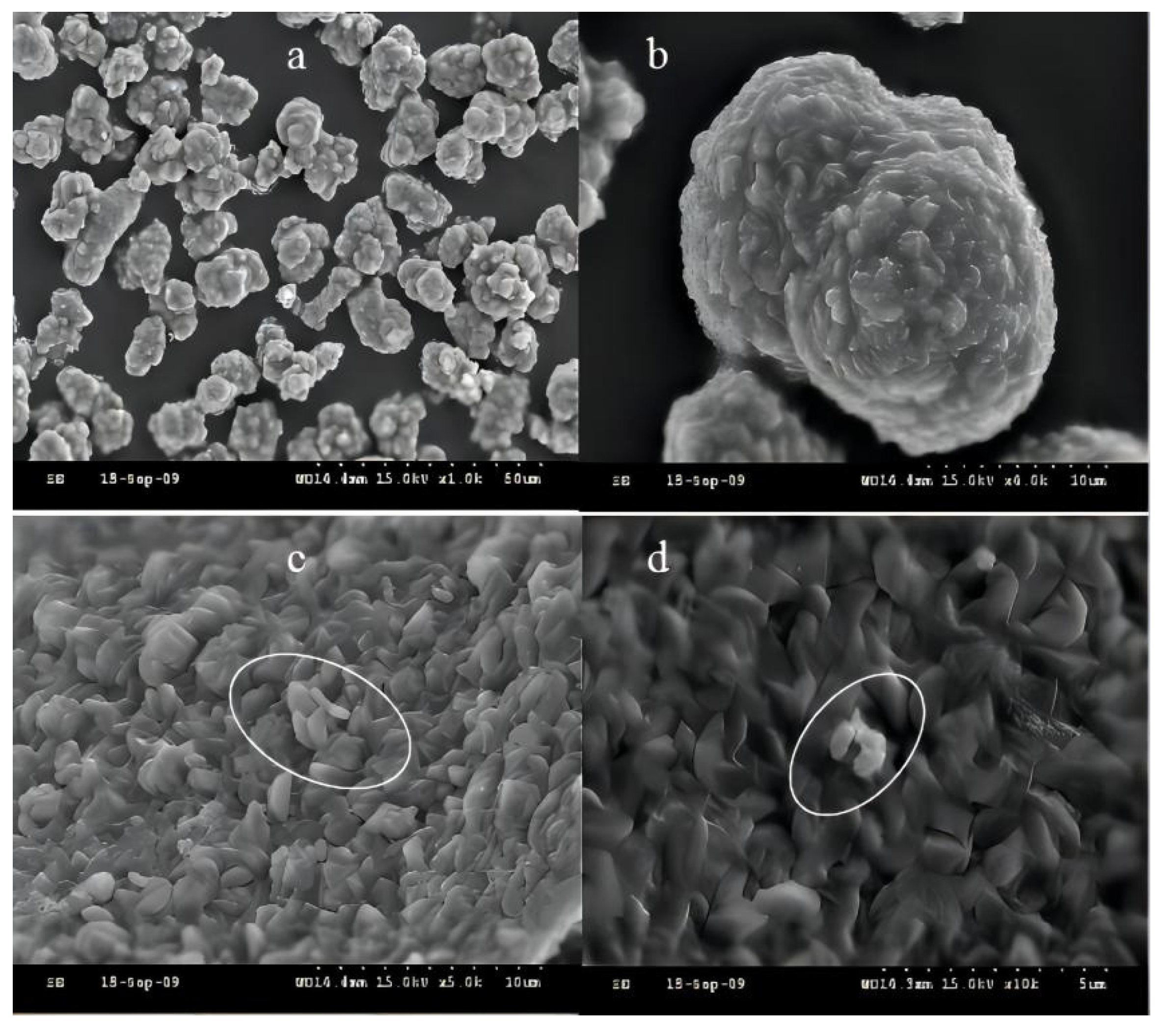 Ijerph 19 06543 g003