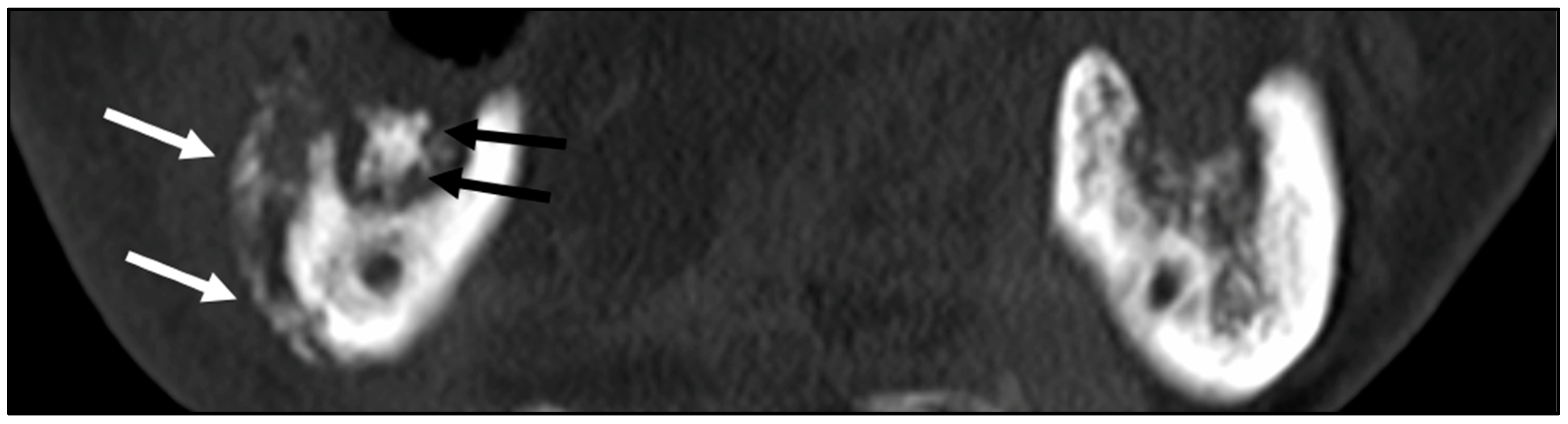 Ijerph 19 06565 g002