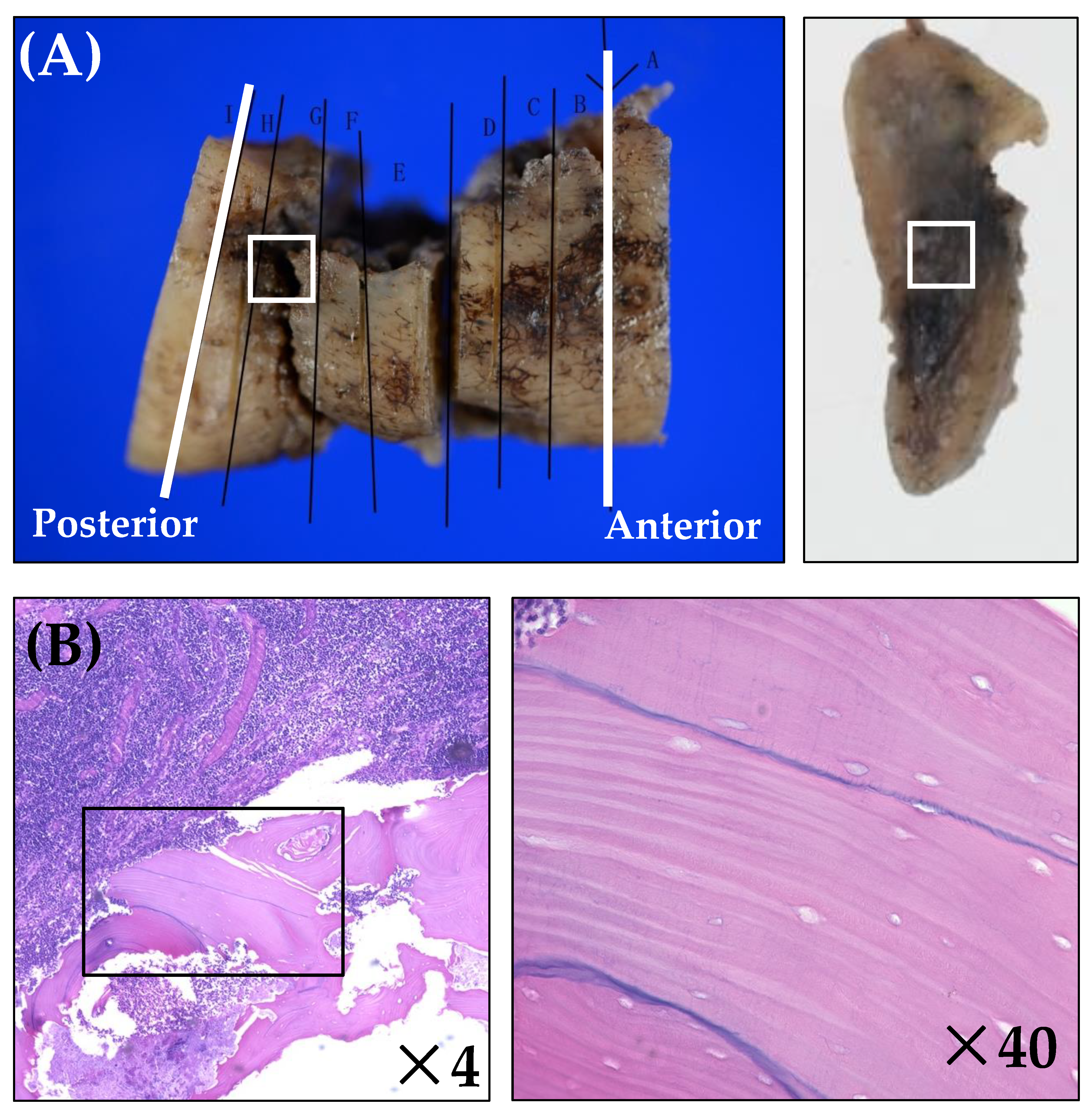 Ijerph 19 06565 g003a