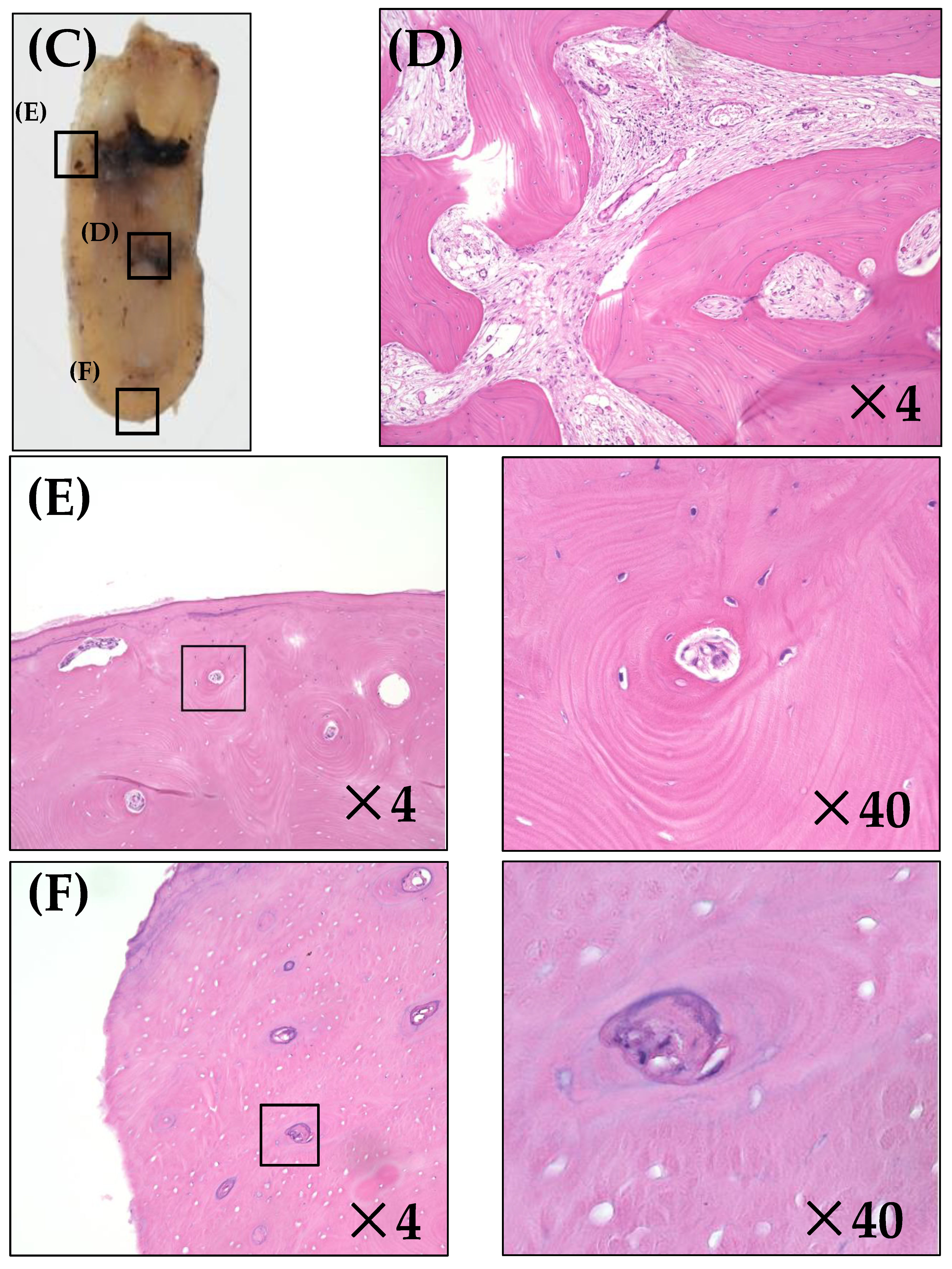 Ijerph 19 06565 g003b