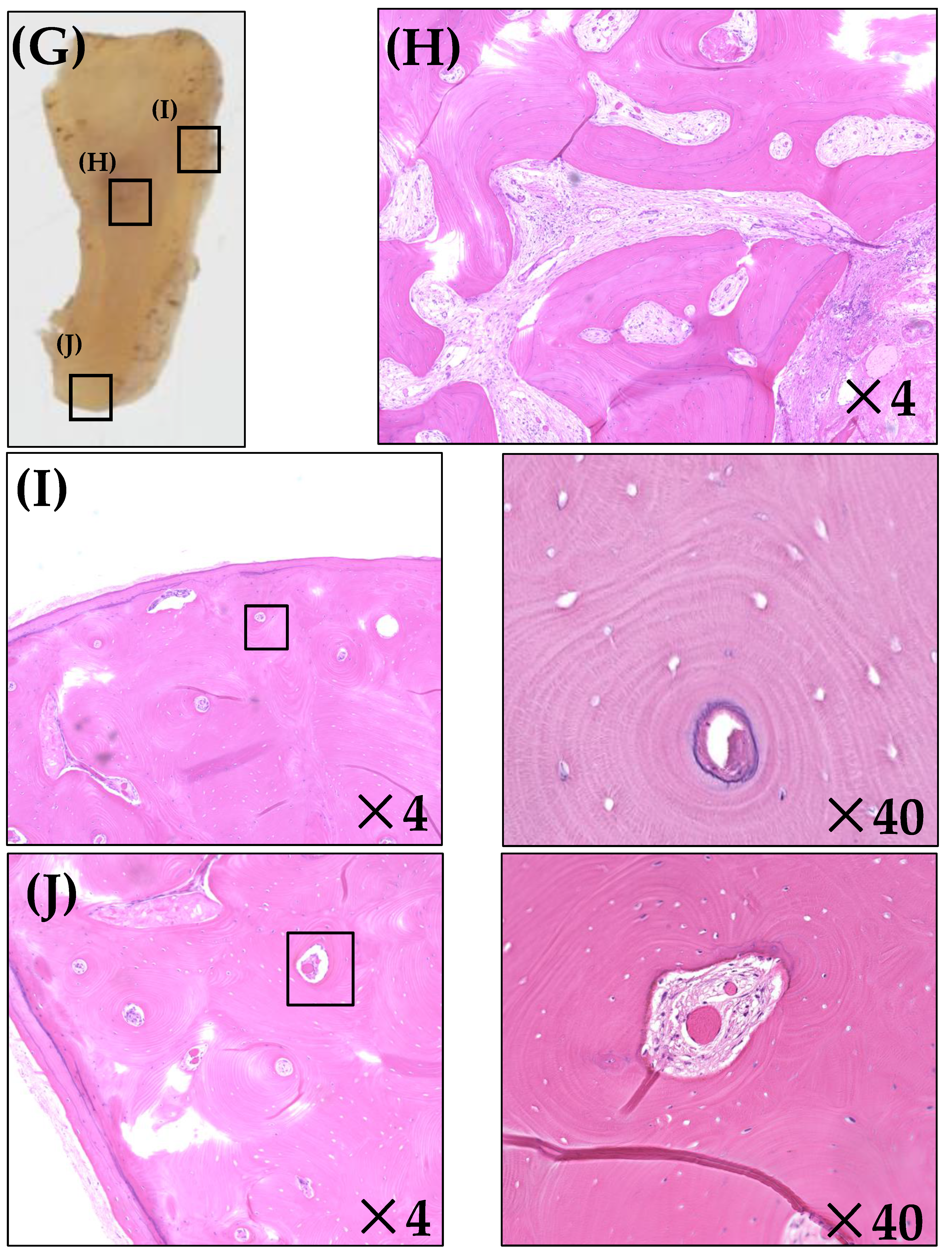 Ijerph 19 06565 g003c