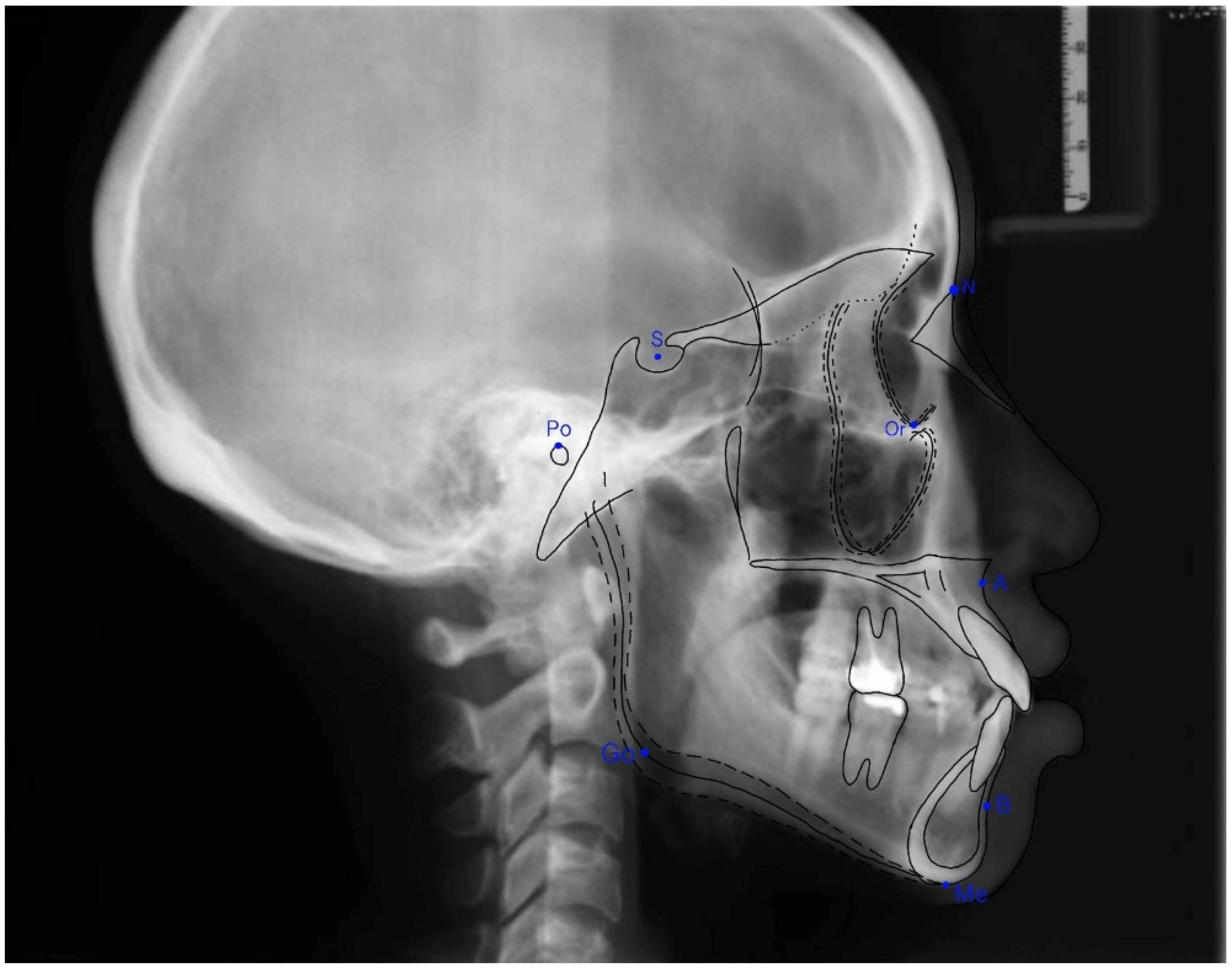 Ijerph 19 06569 g001 550