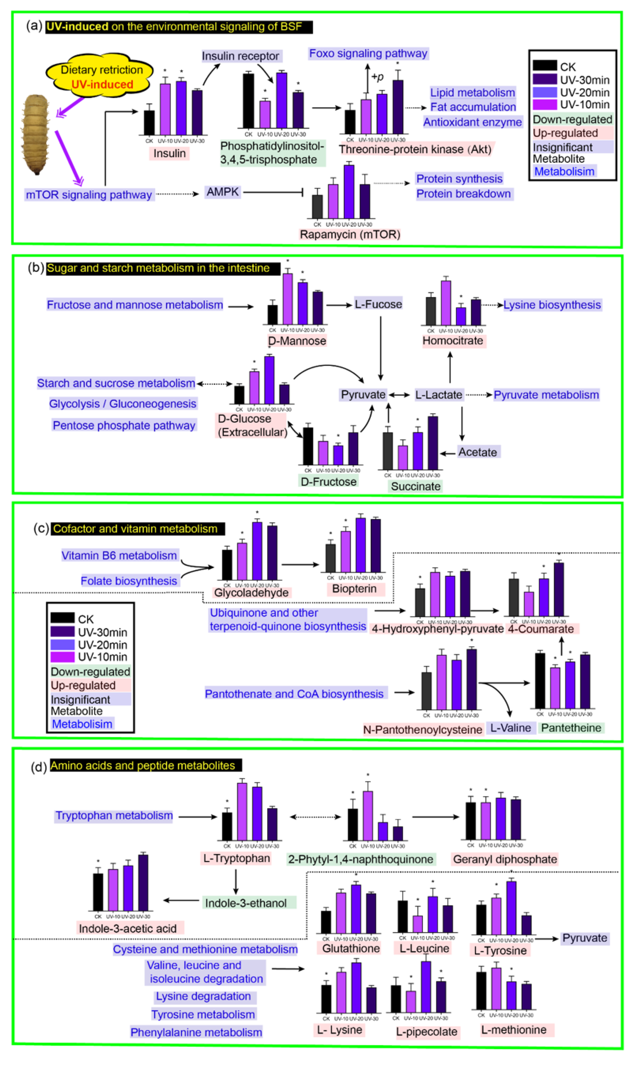 Ijerph 19 06614 g005 550