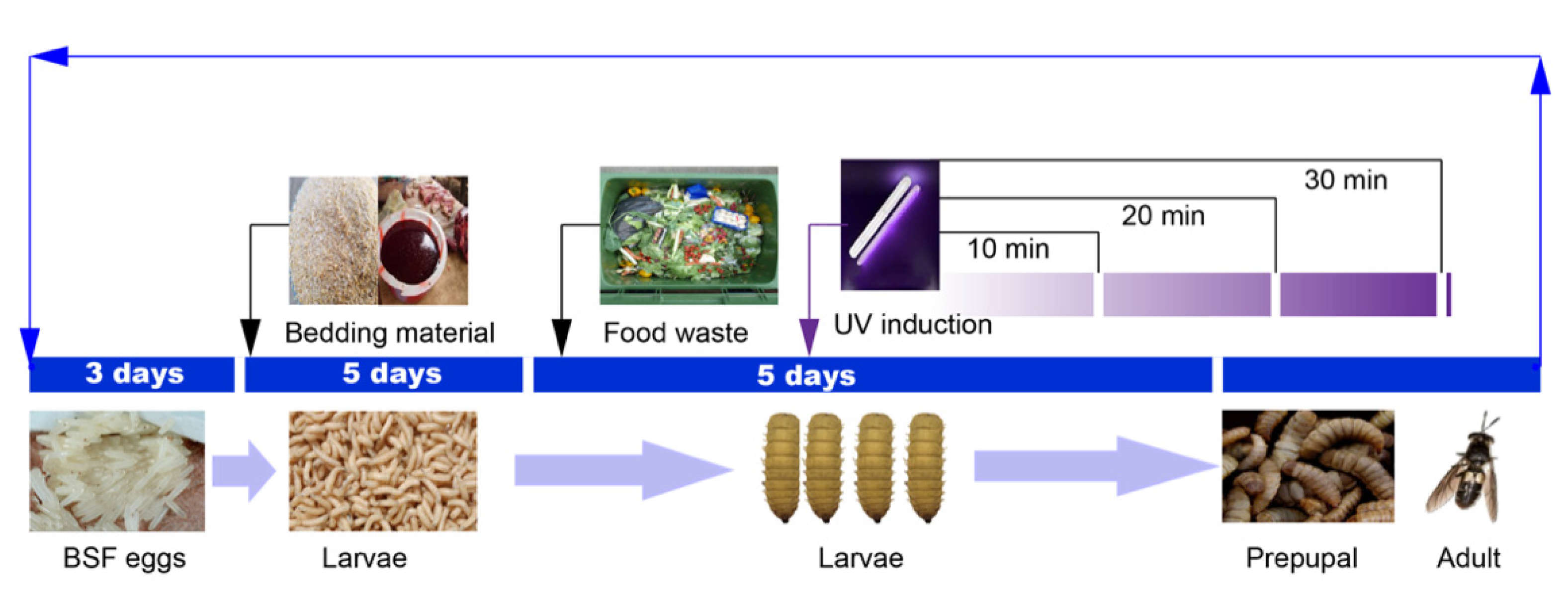 Ijerph 19 06614 g006 550