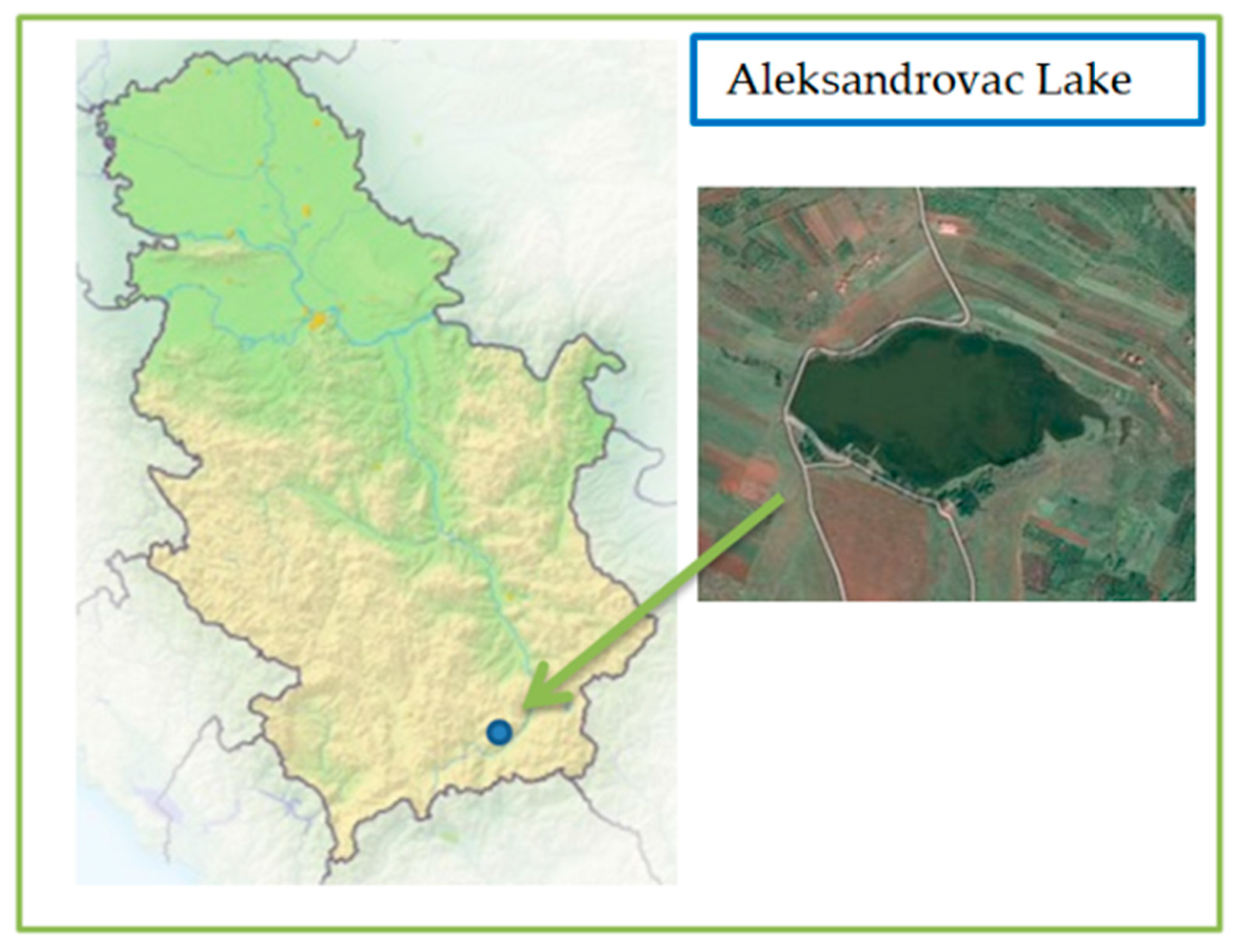 IJERPH | Free Full-Text | Natural Cyanobacteria Removers Obtained IJERPH | Free Full-Text | Natural Cyanobacteria Removers Obtained