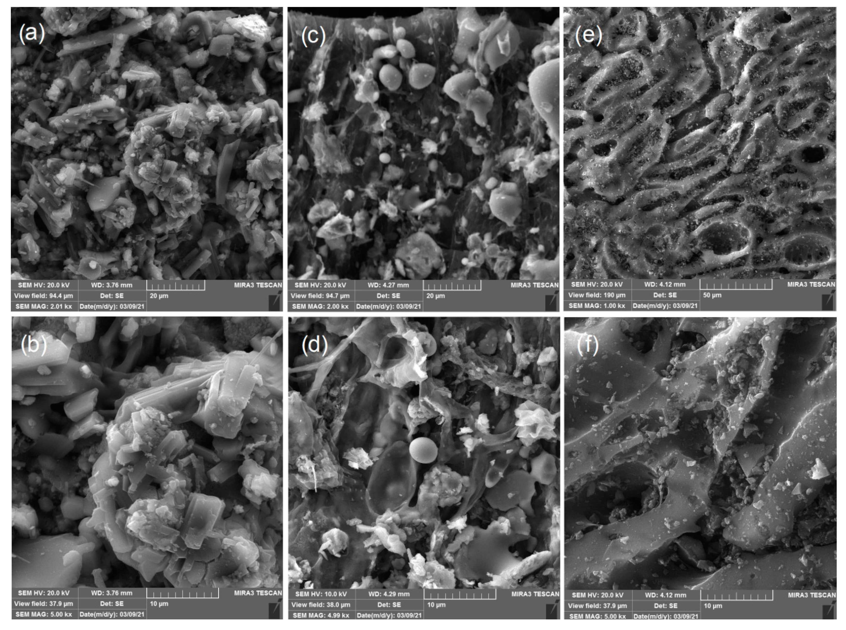 Ijerph 19 06639 g006 550