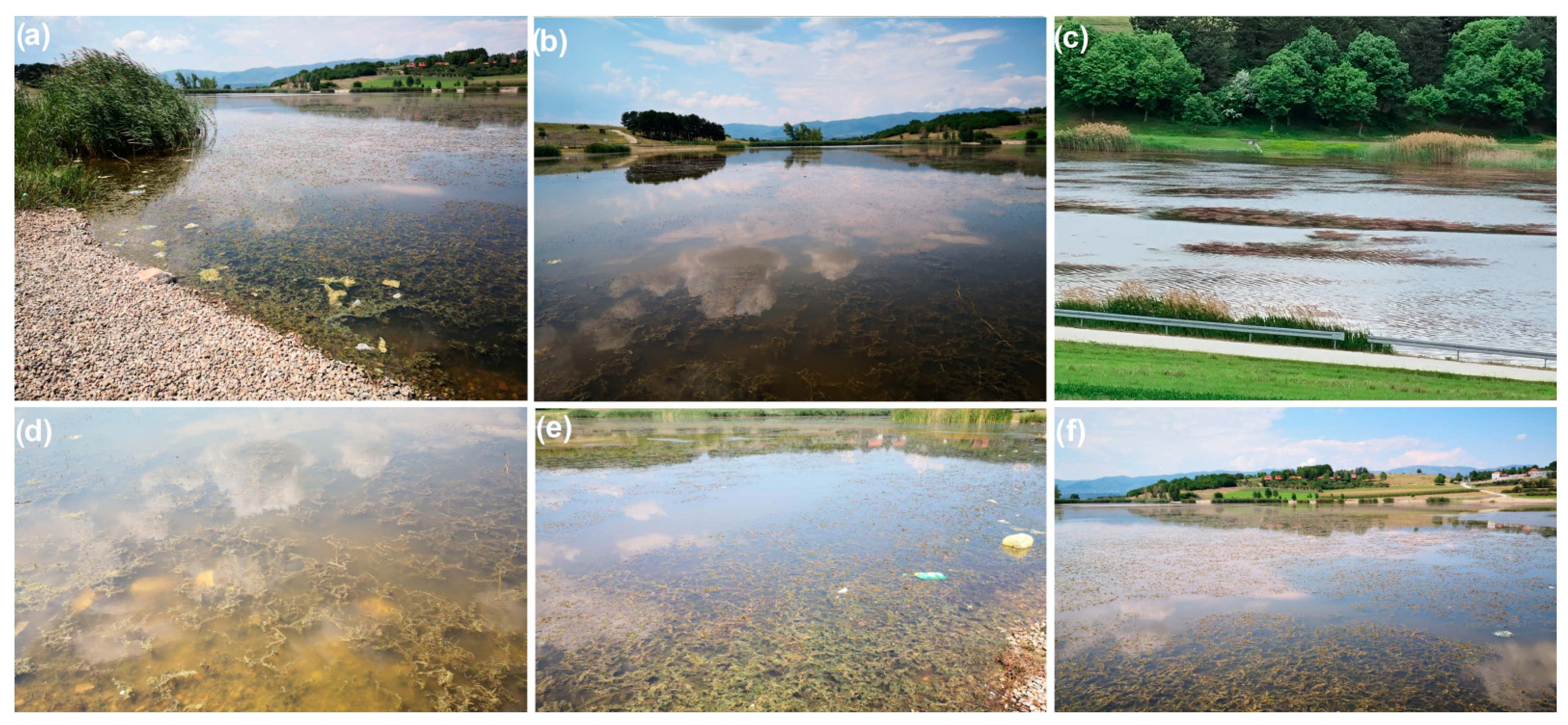 Ijerph 19 06639 g007 550