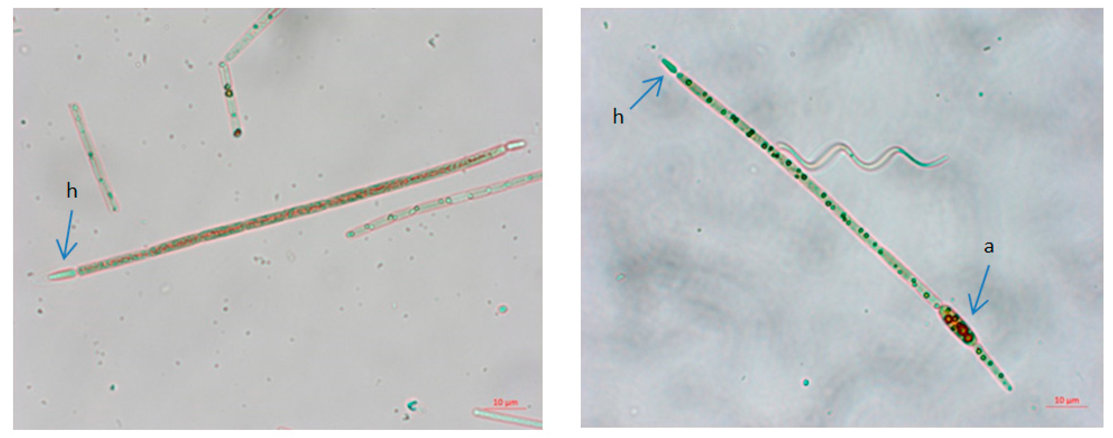 Ijerph 19 06639 g010 550