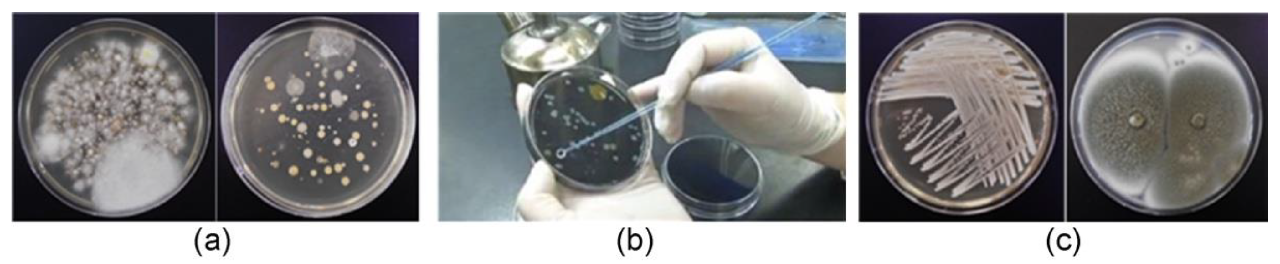 Ijerph 19 06667 g001