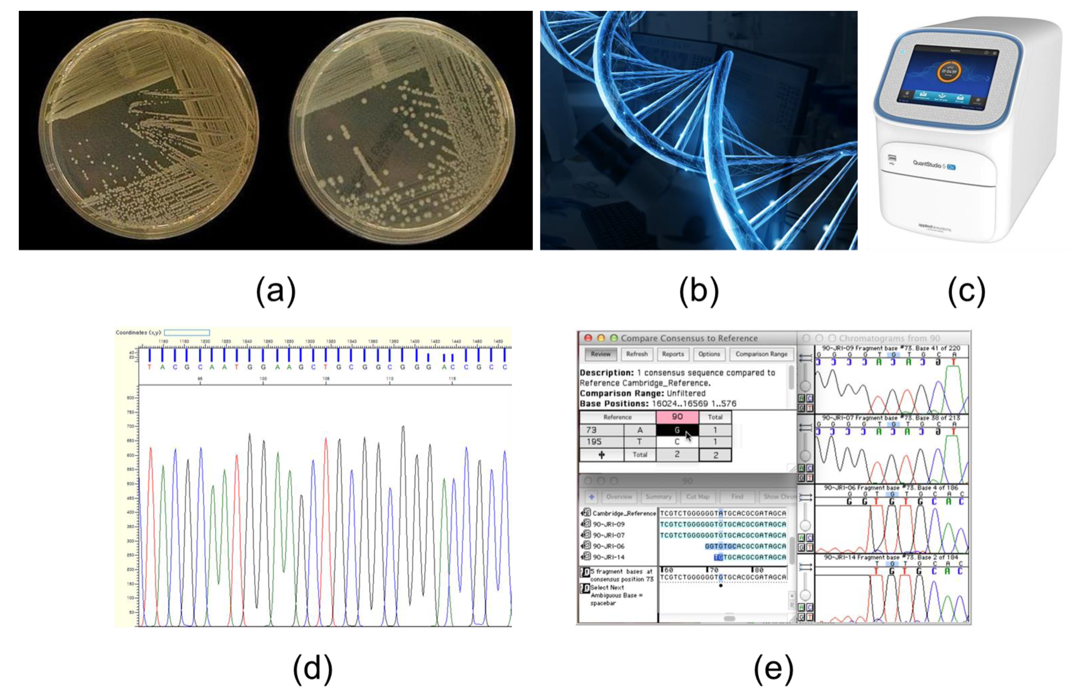 Ijerph 19 06667 g002