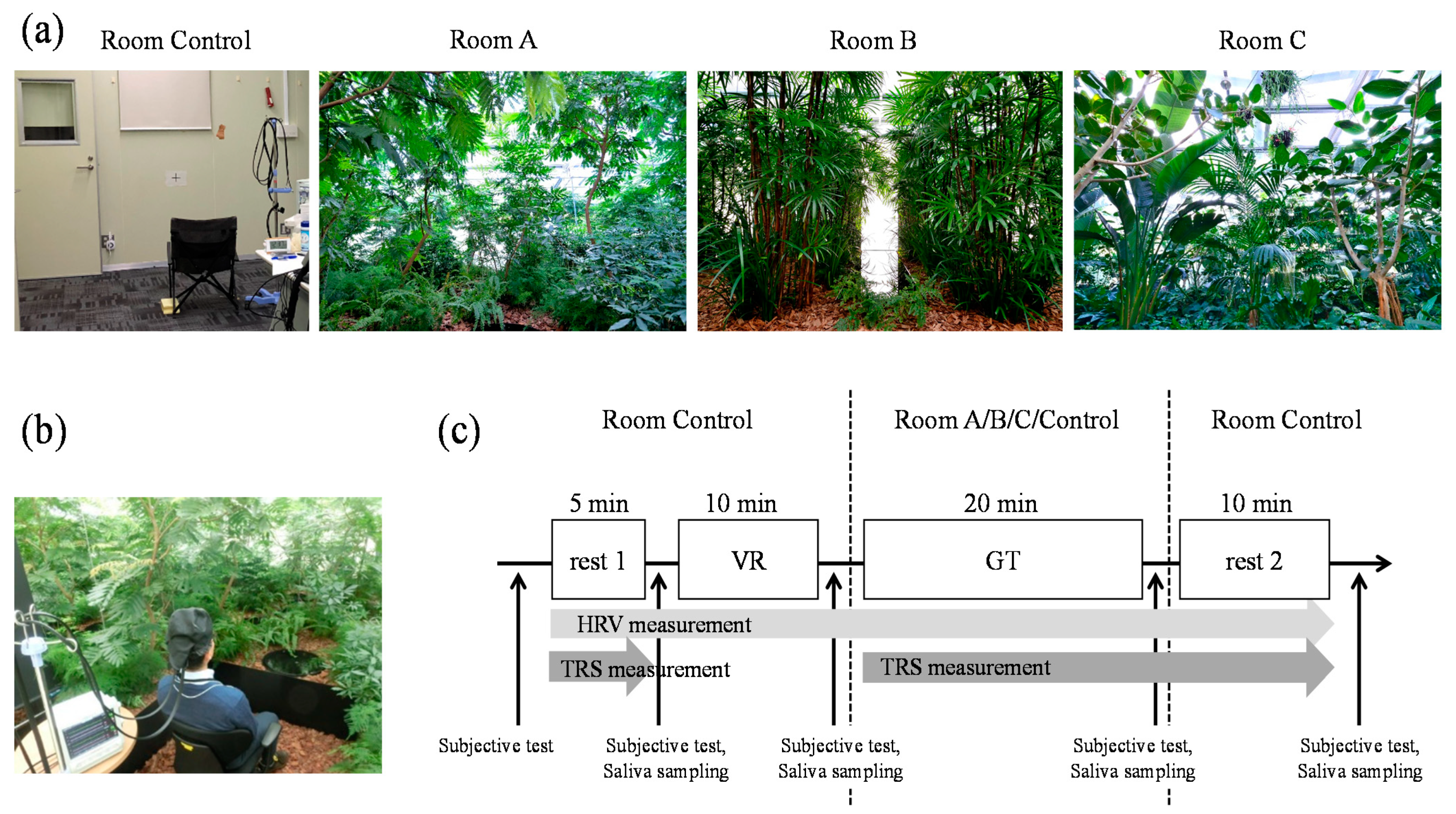 Ijerph 19 06672 g002 550