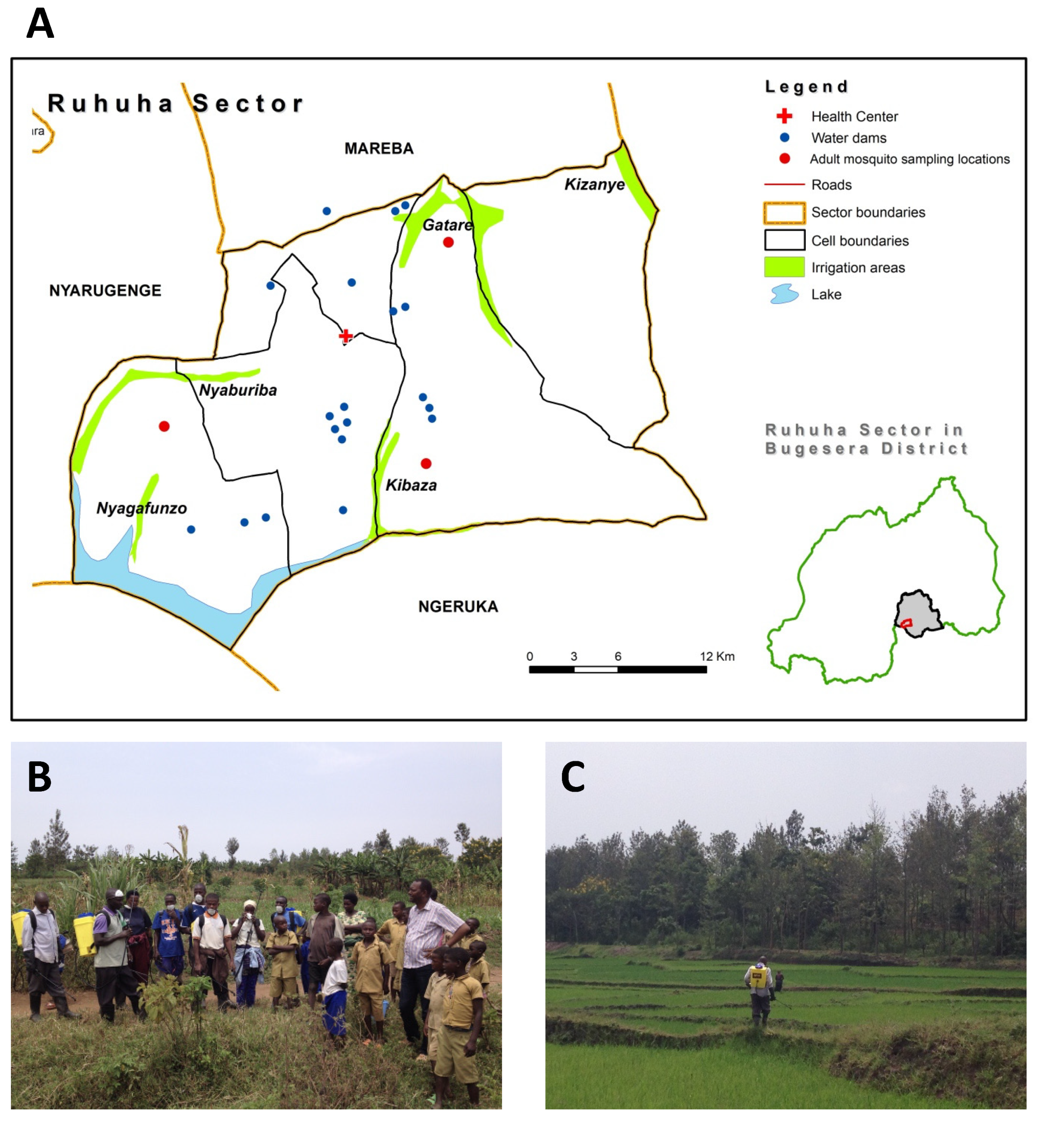 Ijerph 19 06699 g001 550