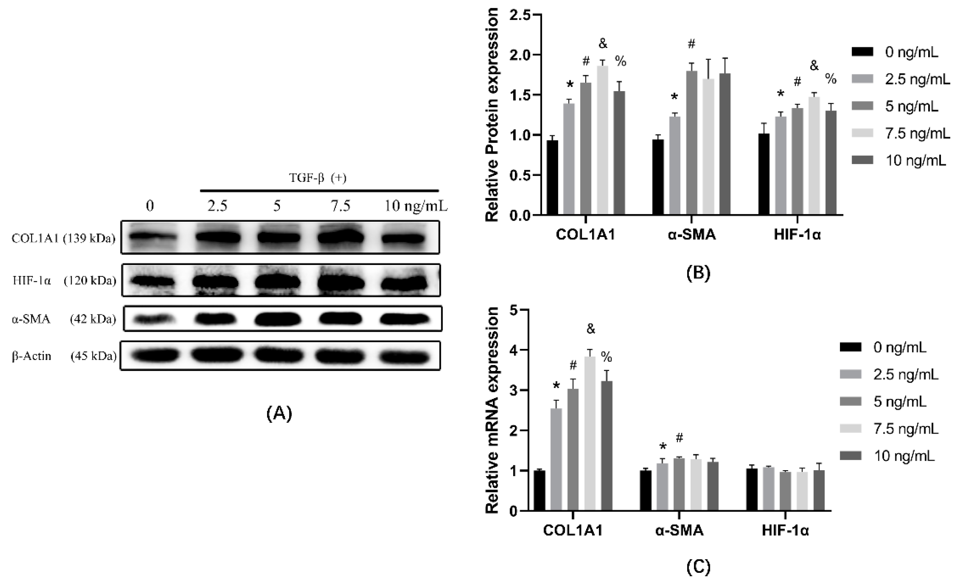 Ijerph 19 06775 g001