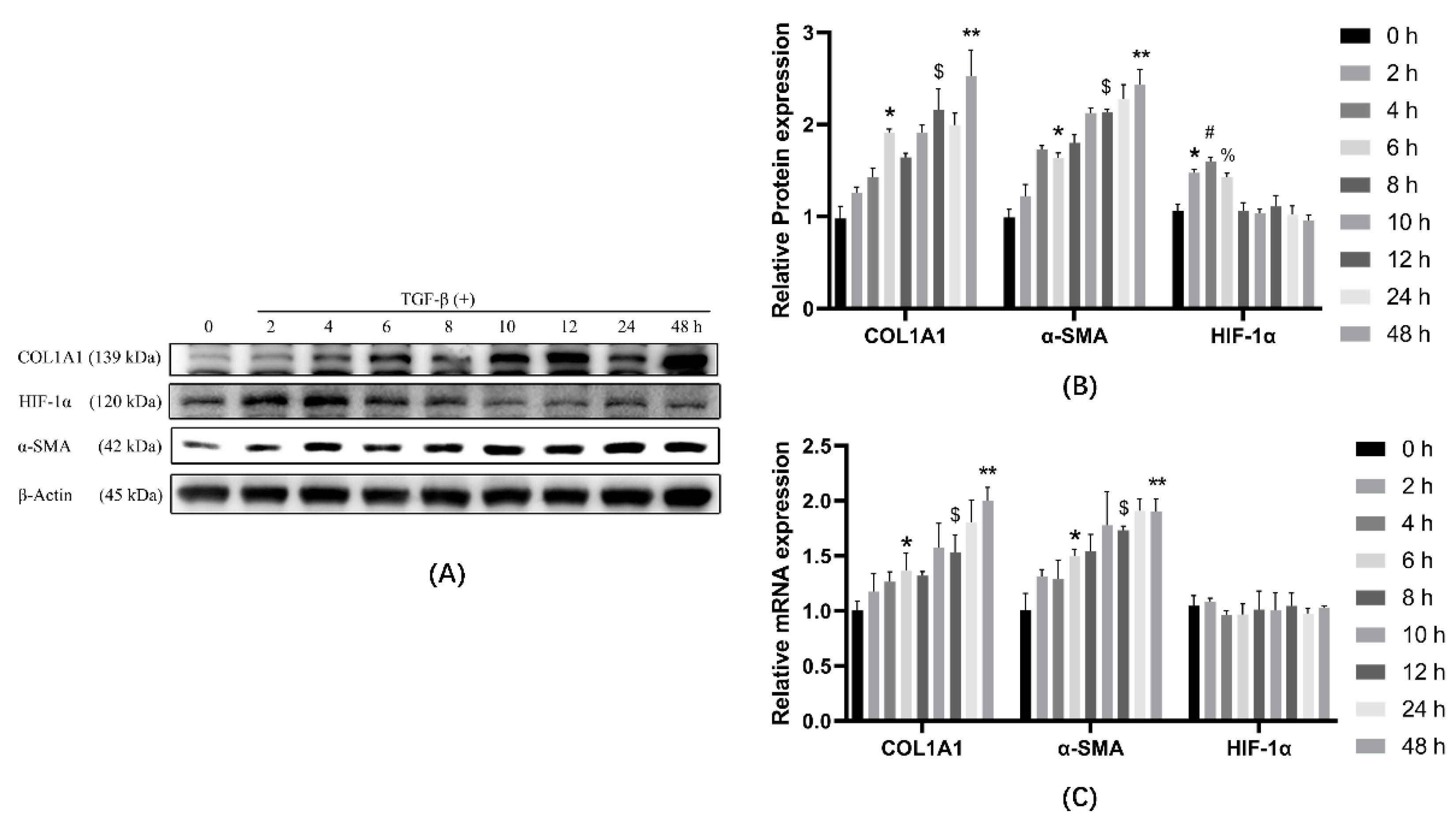 Ijerph 19 06775 g002