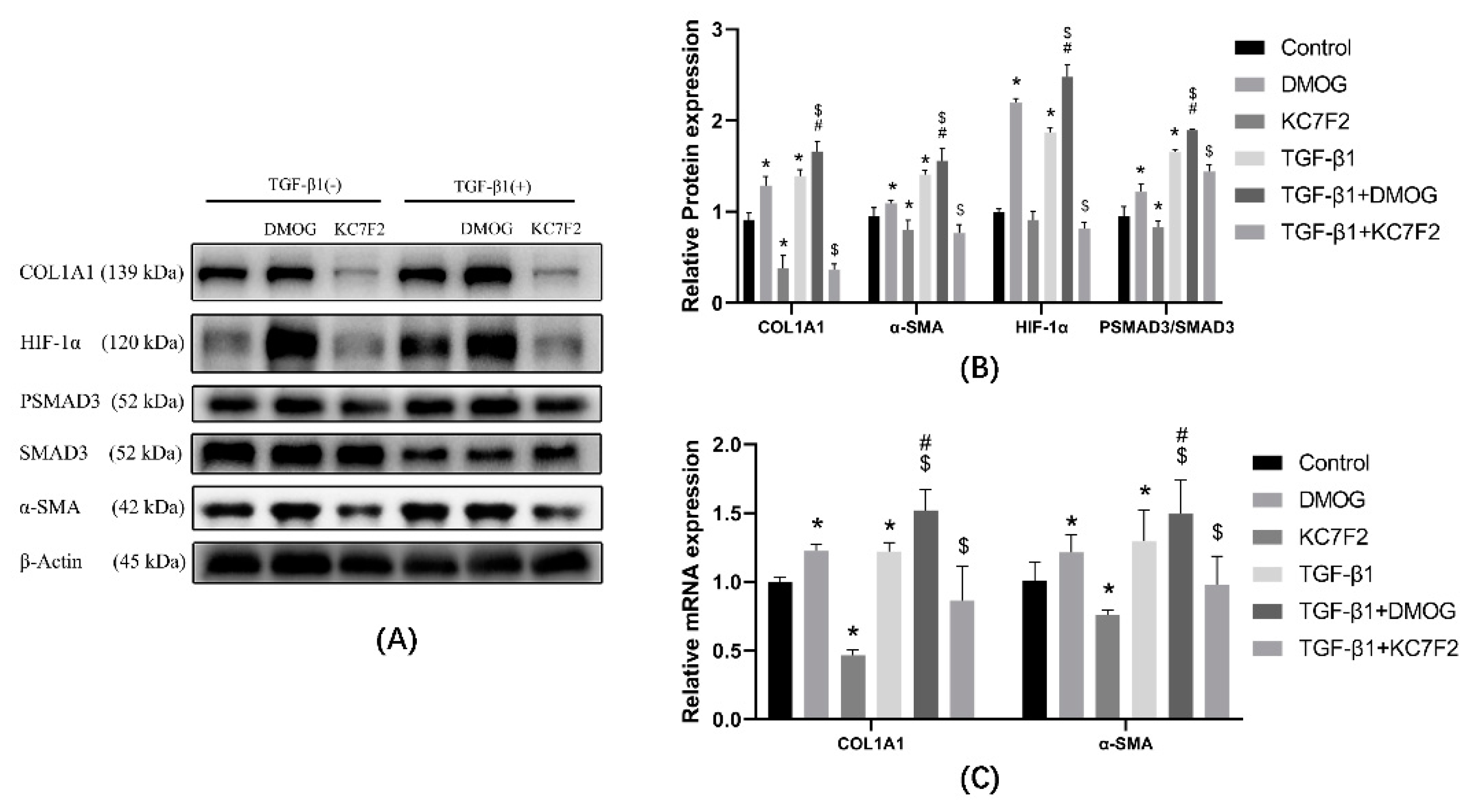 Ijerph 19 06775 g004