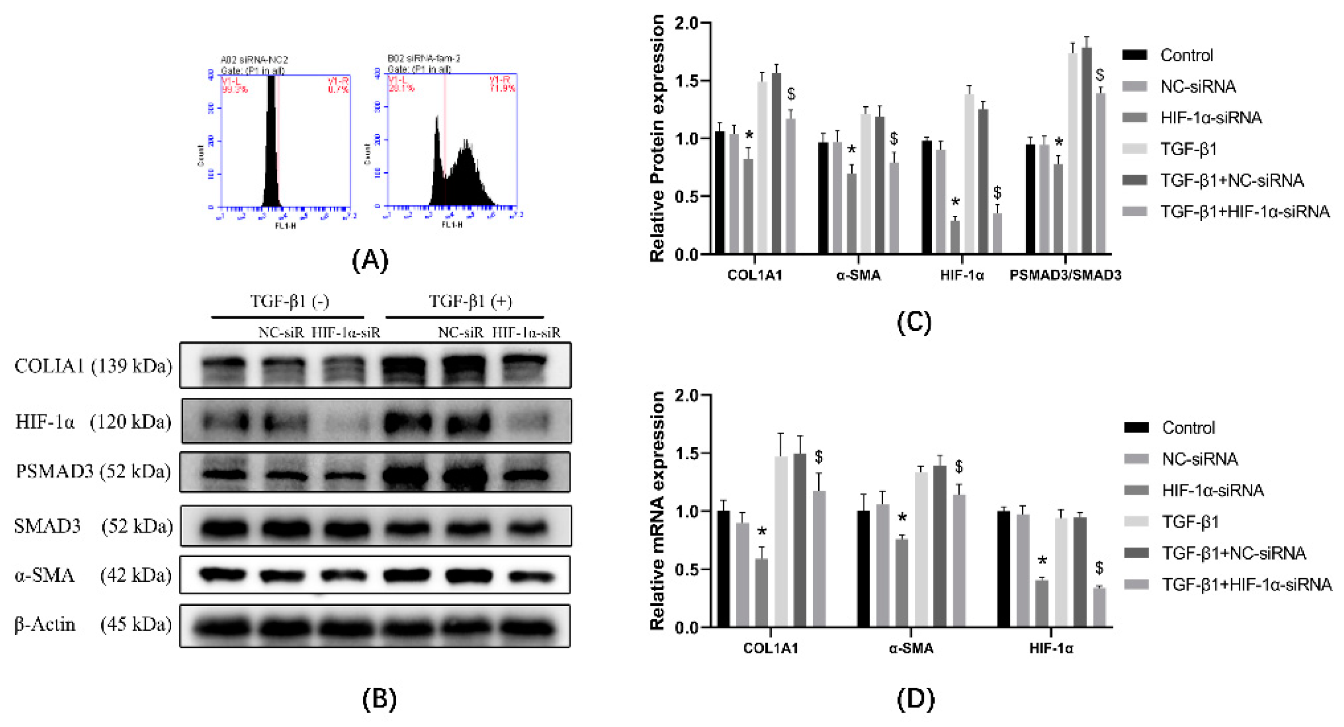 Ijerph 19 06775 g005