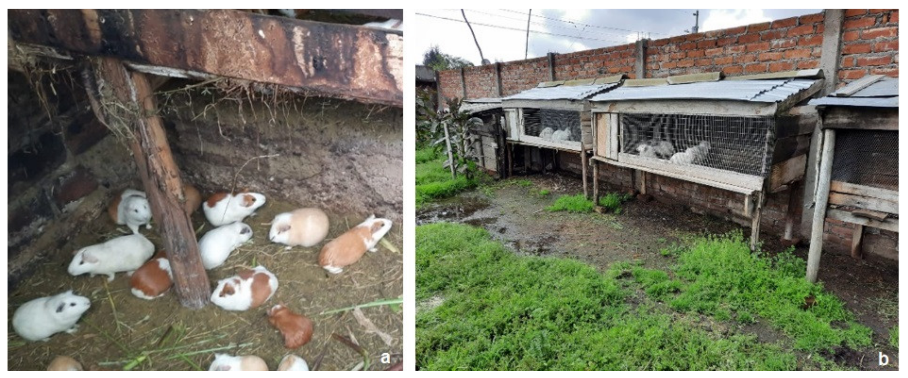 Ijerph 19 06901 g005