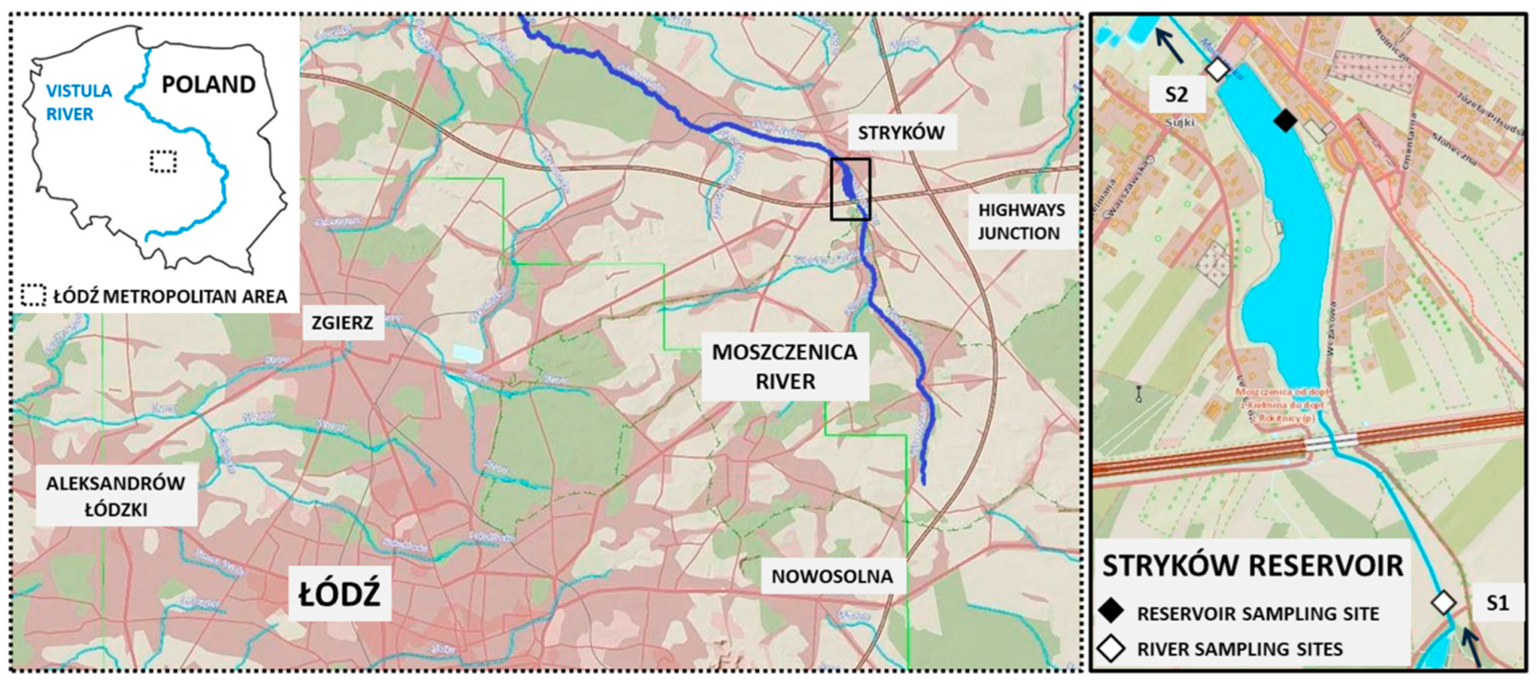 Ijerph 19 06990 g001