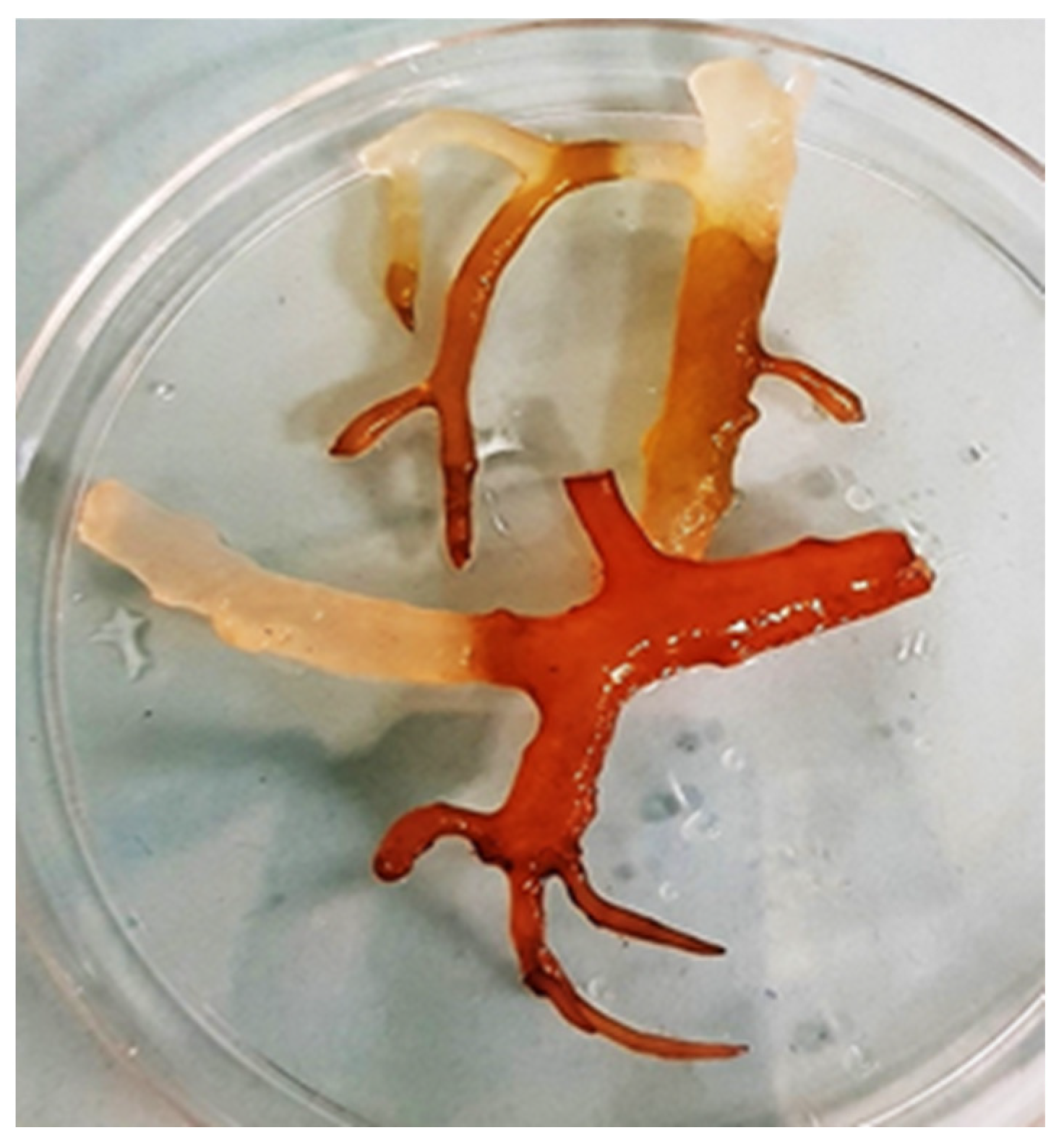 Ijerph 19 07087 g003 550