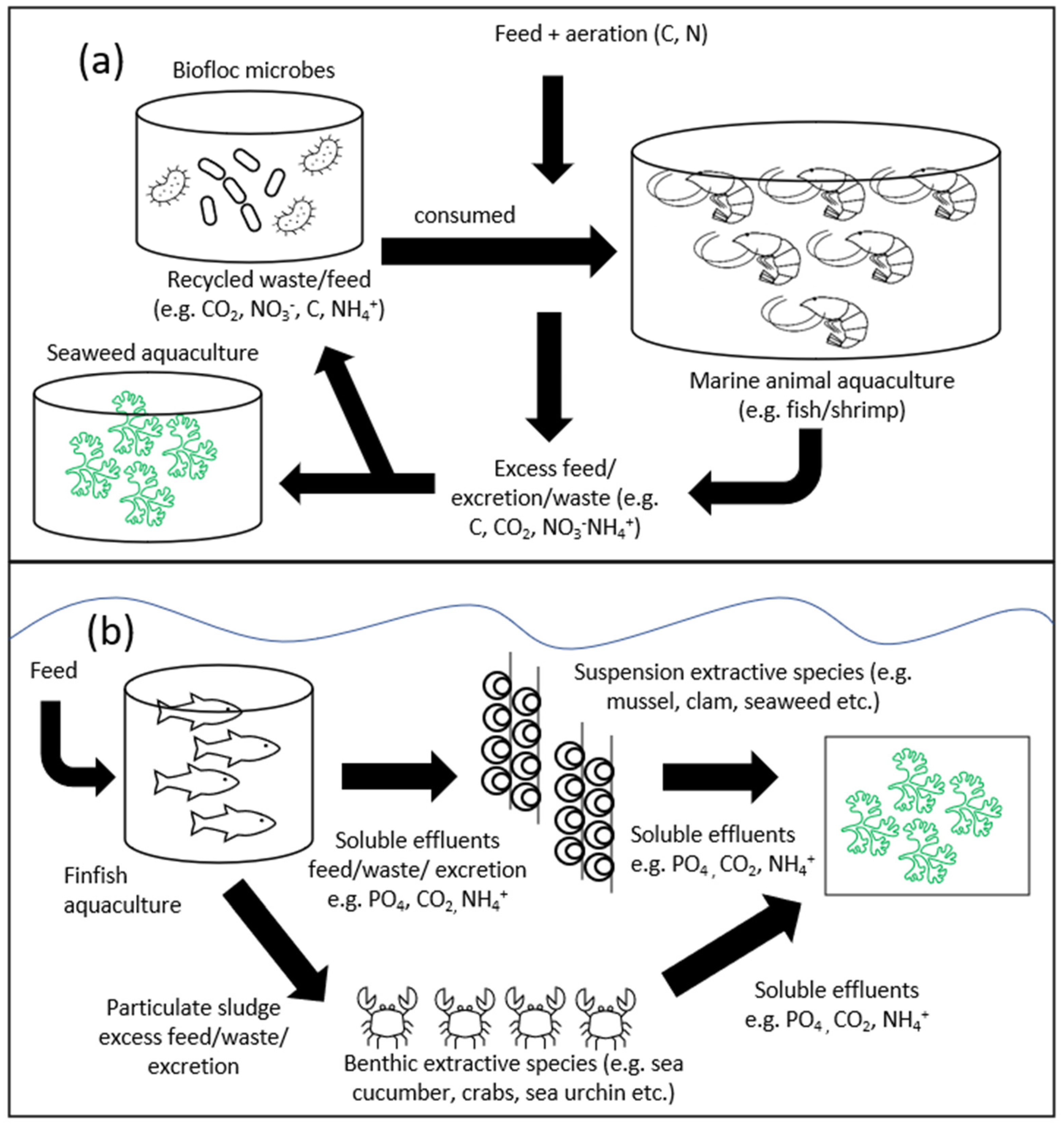 Ijerph 19 07087 g005 550