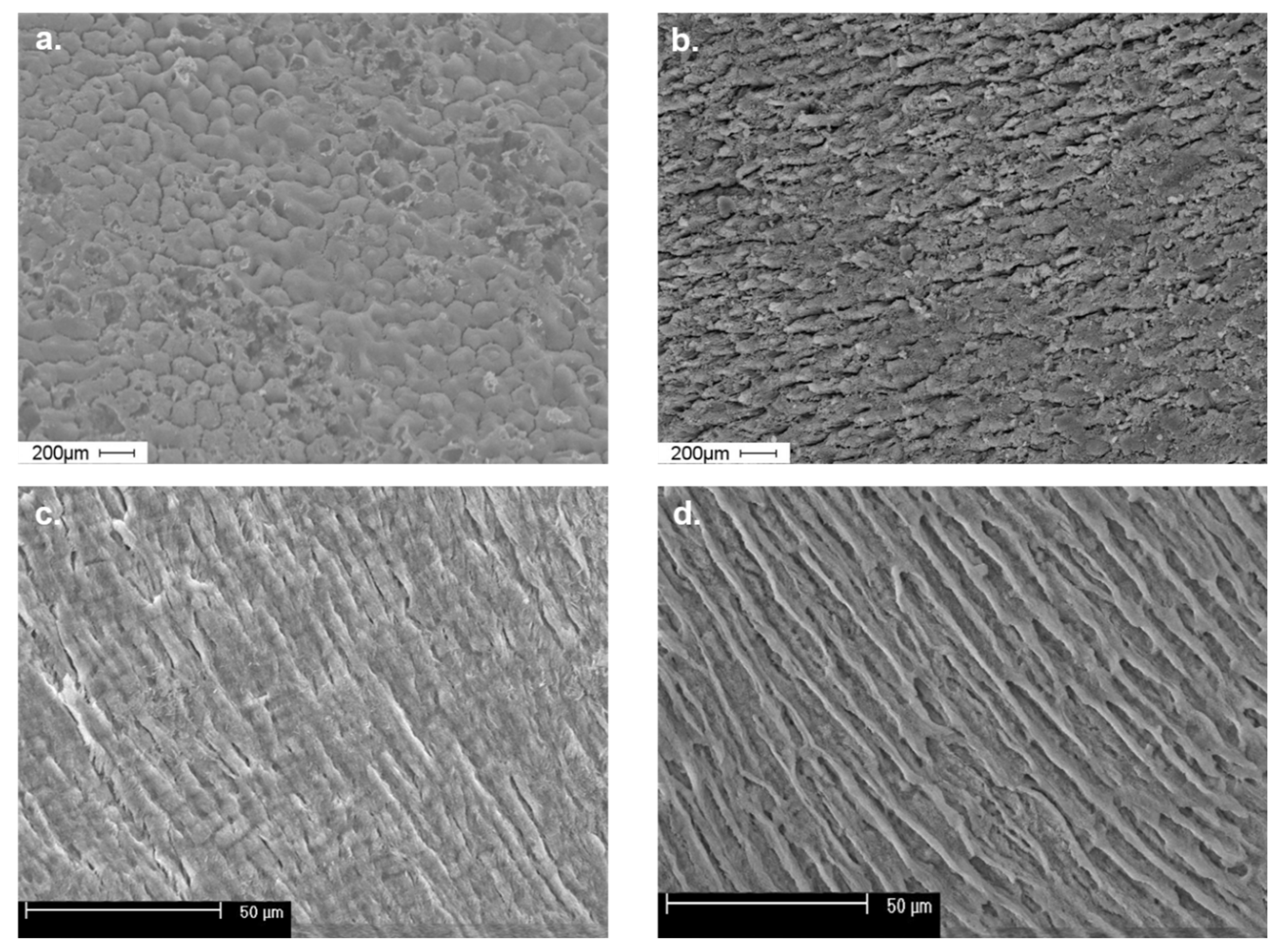 Ijerph 19 07153 g001